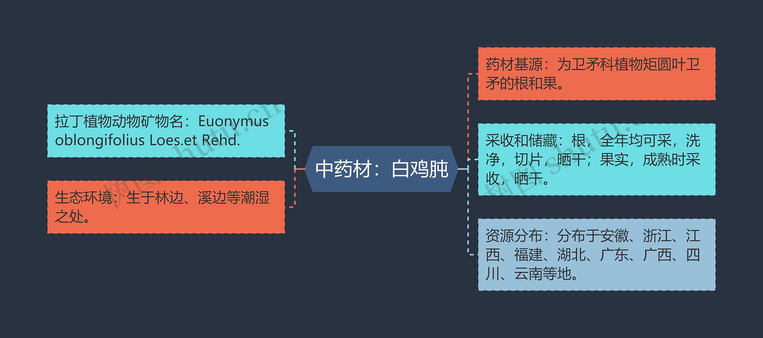 中药材：白鸡肫思维导图