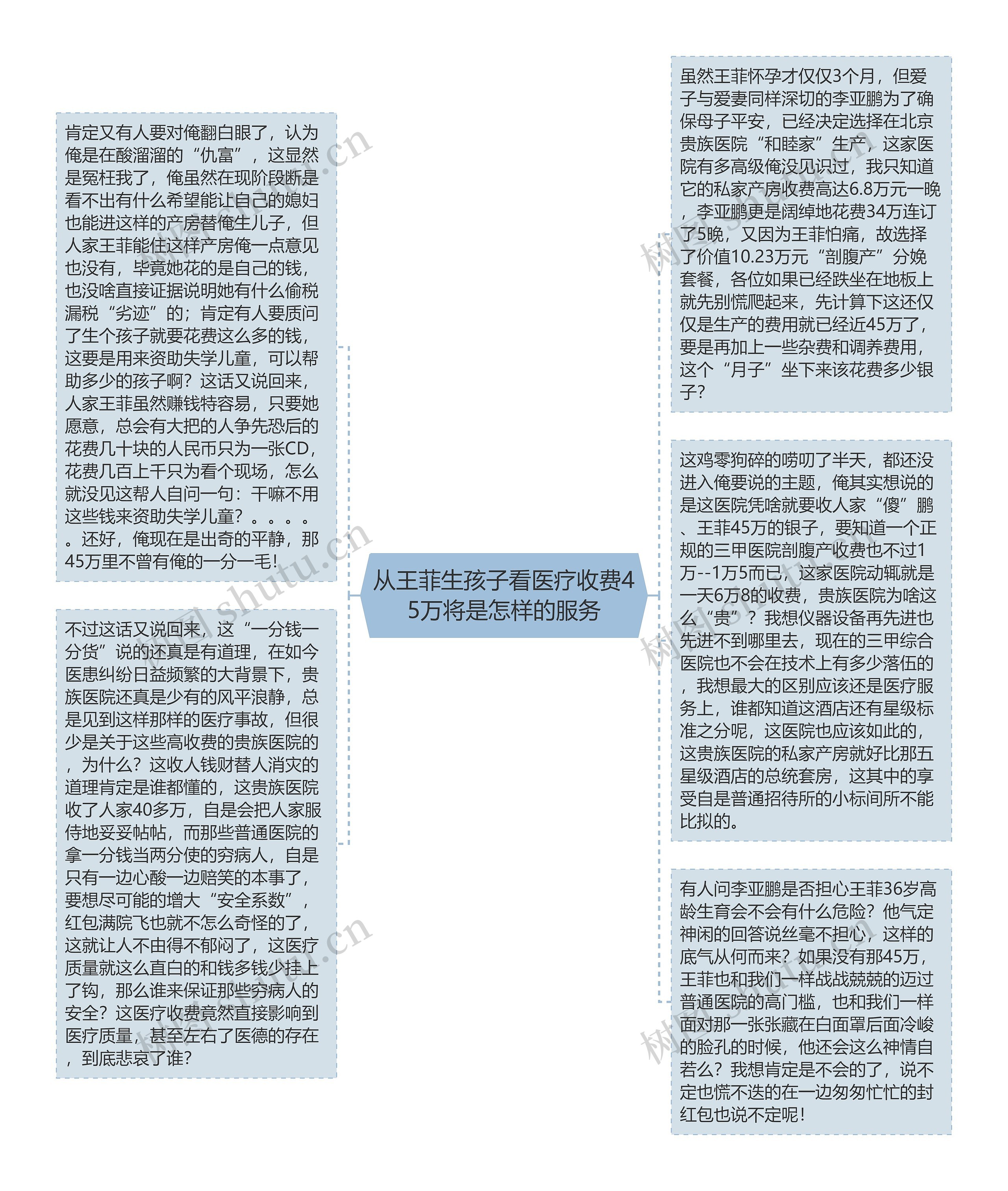 从王菲生孩子看医疗收费45万将是怎样的服务