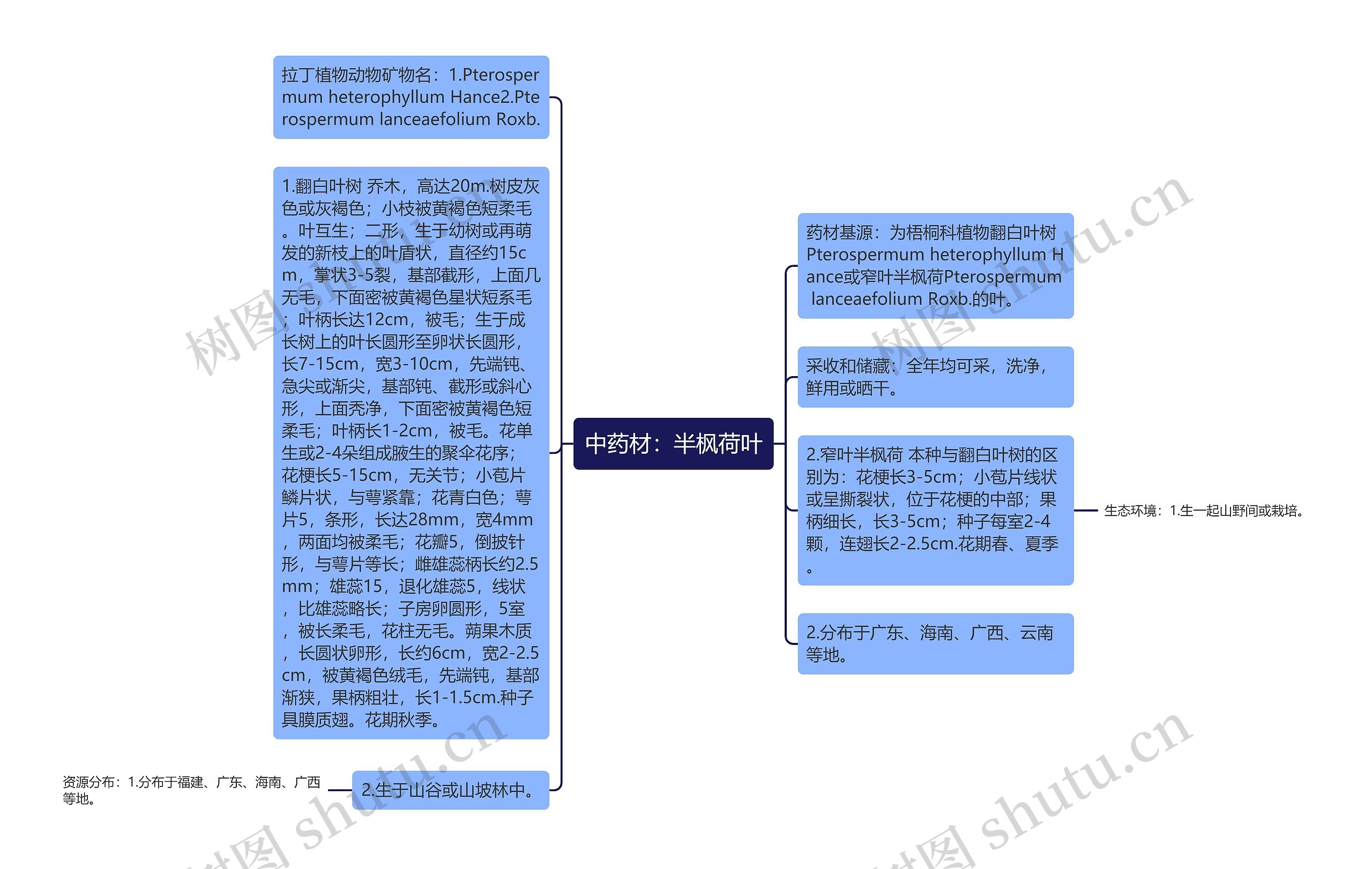 中药材：半枫荷叶