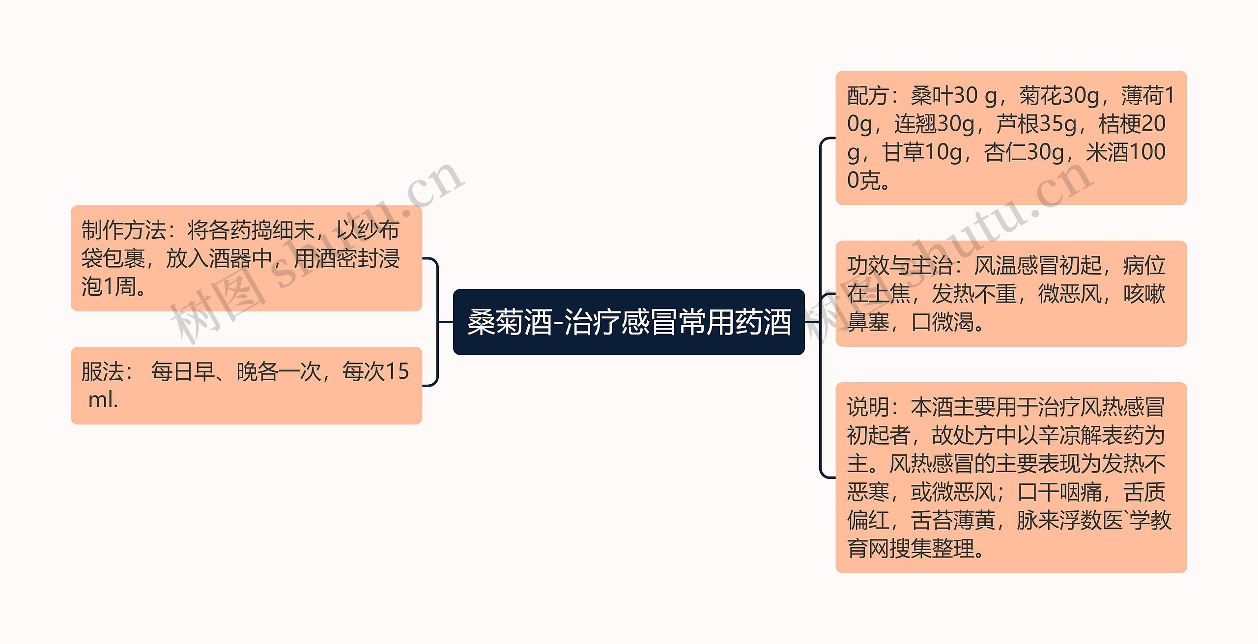 桑菊酒-治疗感冒常用药酒思维导图