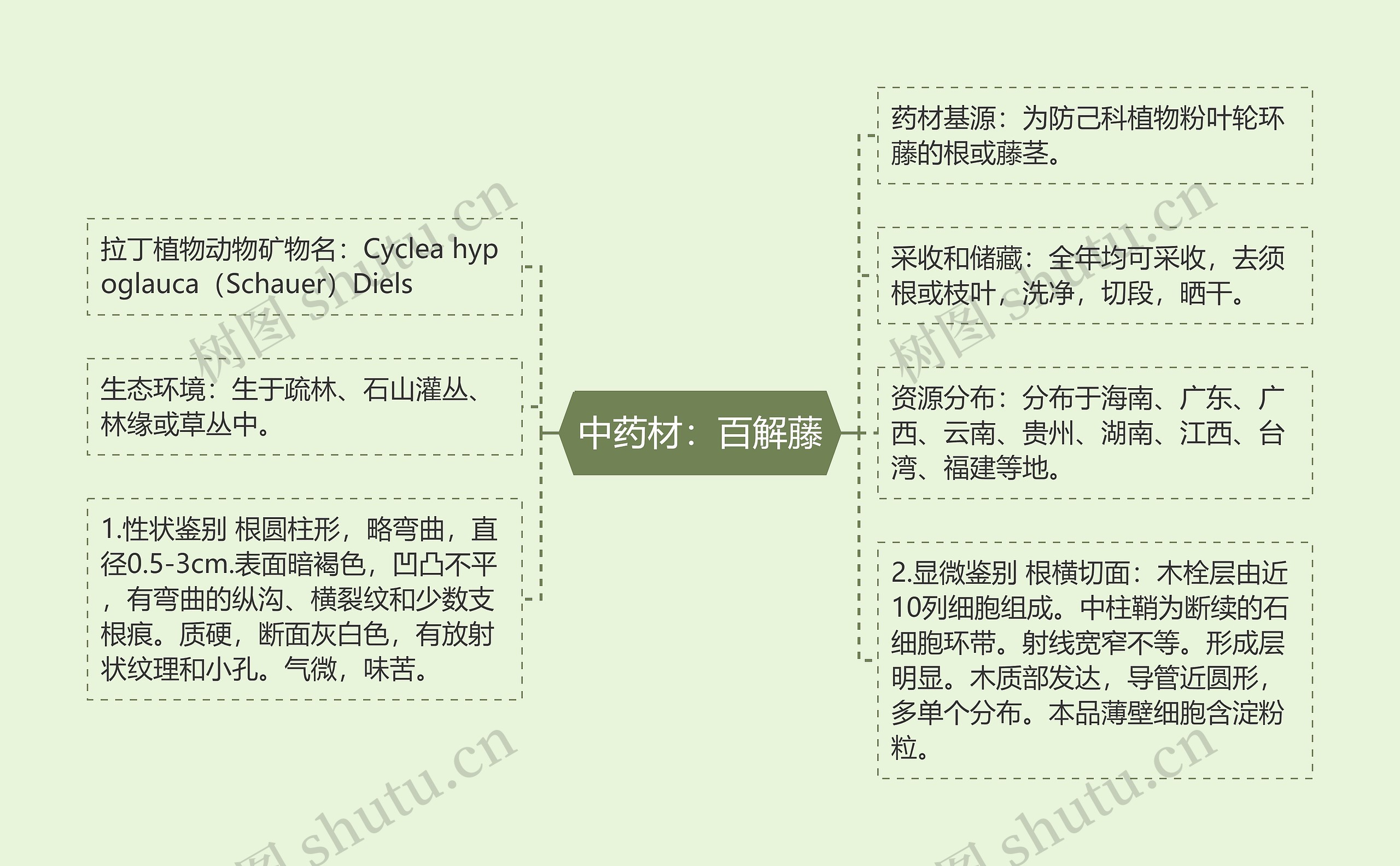 中药材:百解藤 中药材:百解藤