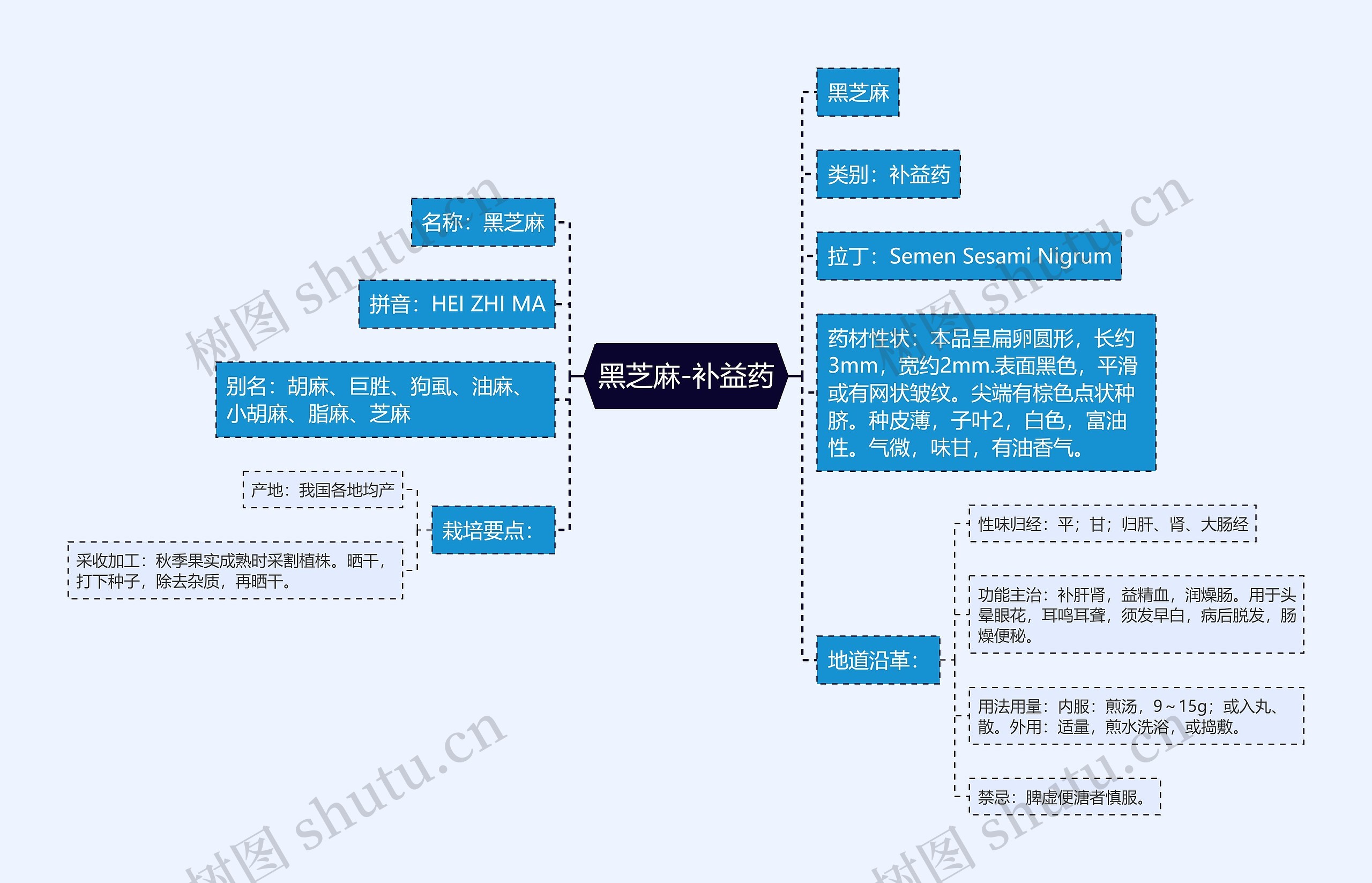 黑芝麻-补益药思维导图