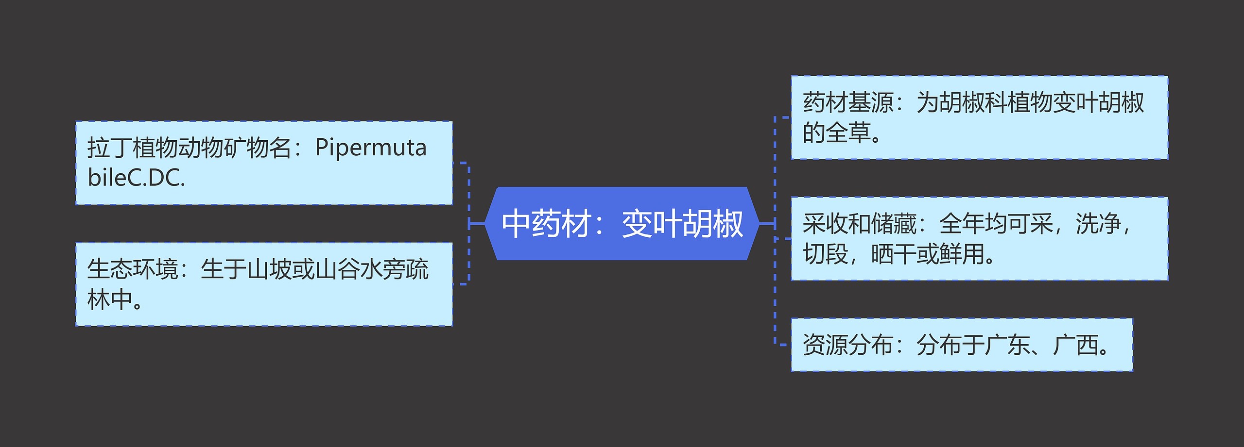 中药材：变叶胡椒思维导图