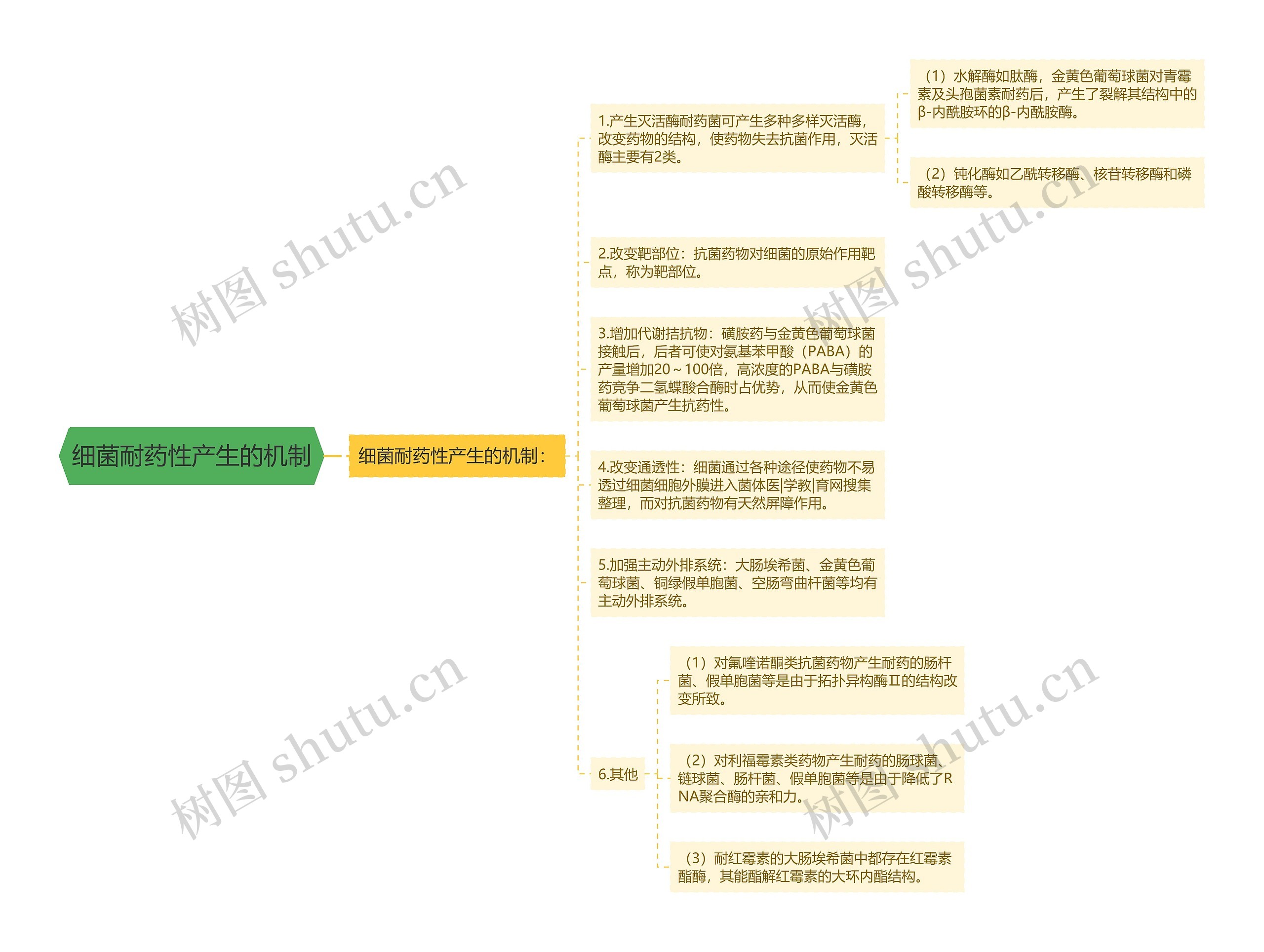 细菌耐药性产生的机制思维导图