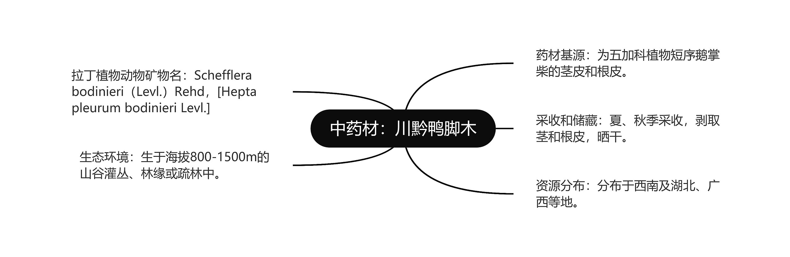 中药材:川黔鸭脚木 中药材:川黔鸭脚木