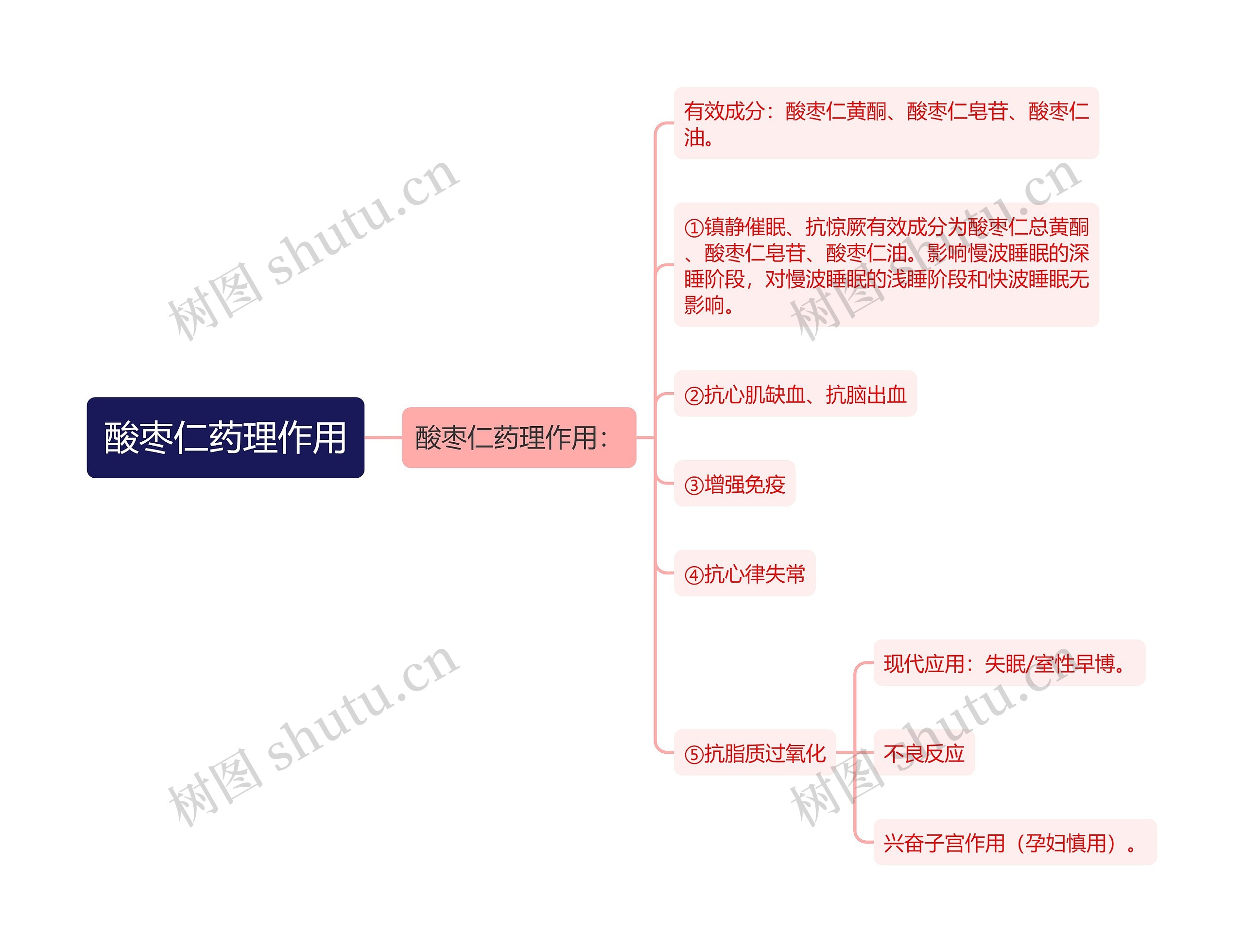 酸枣仁药理作用思维导图