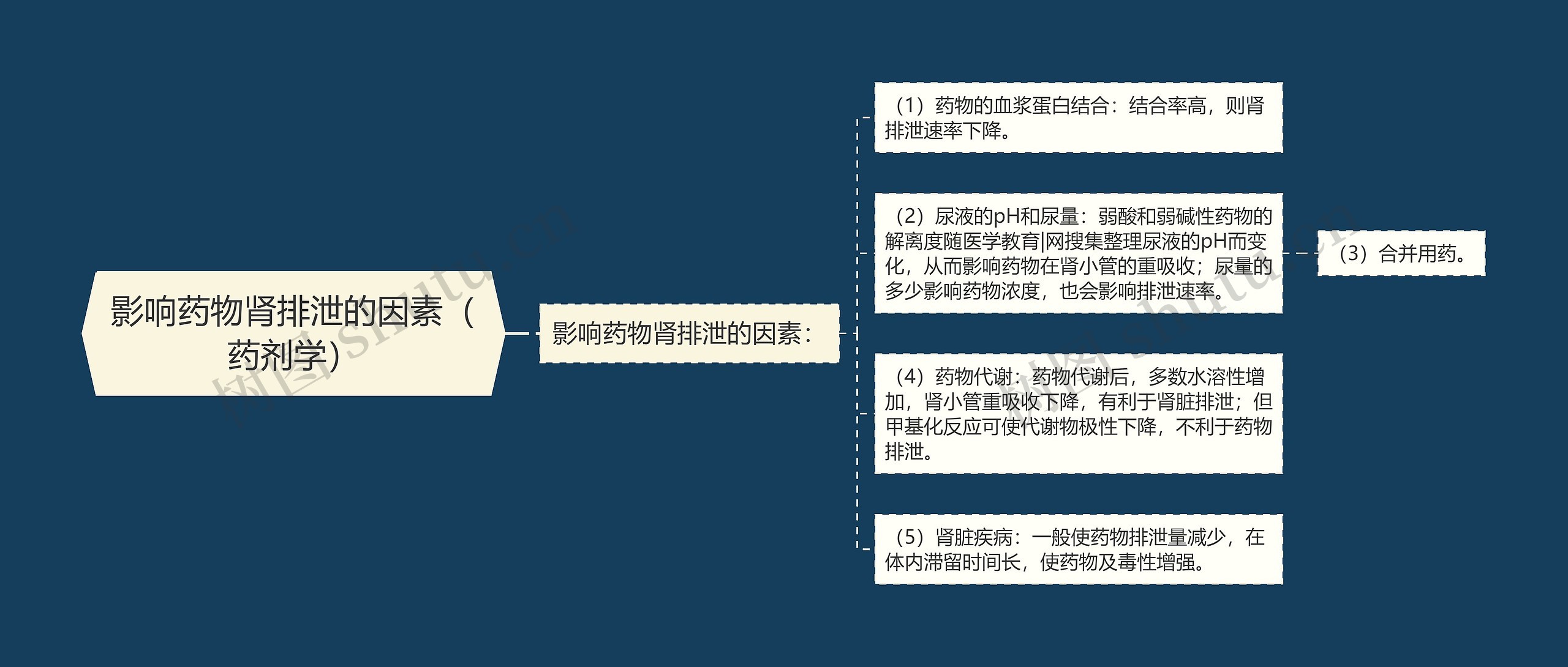 影响药物肾排泄的因素（药剂学）思维导图