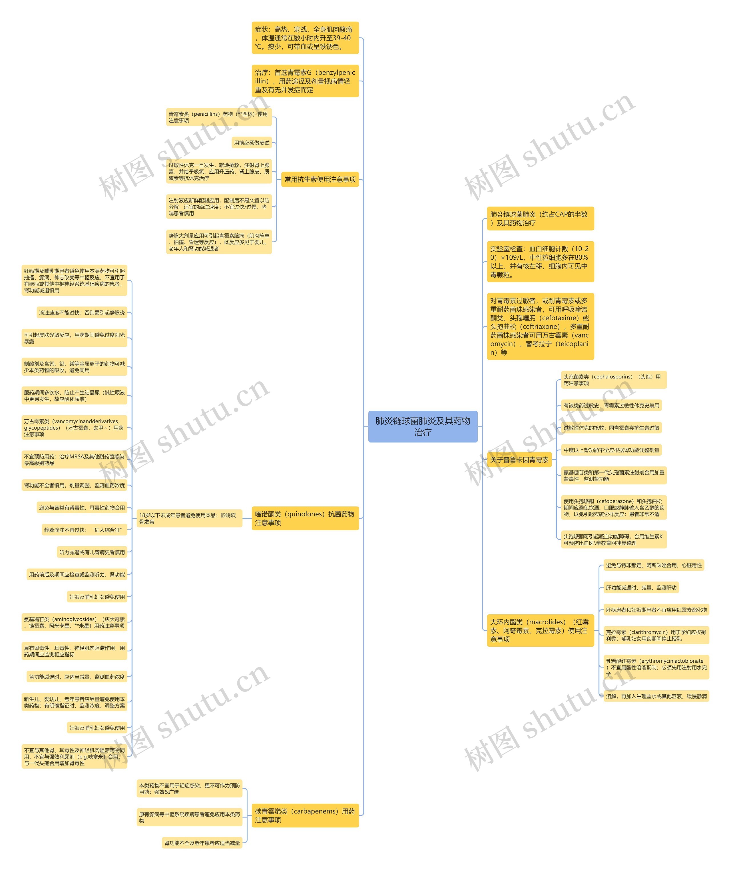肺炎链球菌肺炎及其药物治疗 肺炎链球菌肺炎及其药物治疗