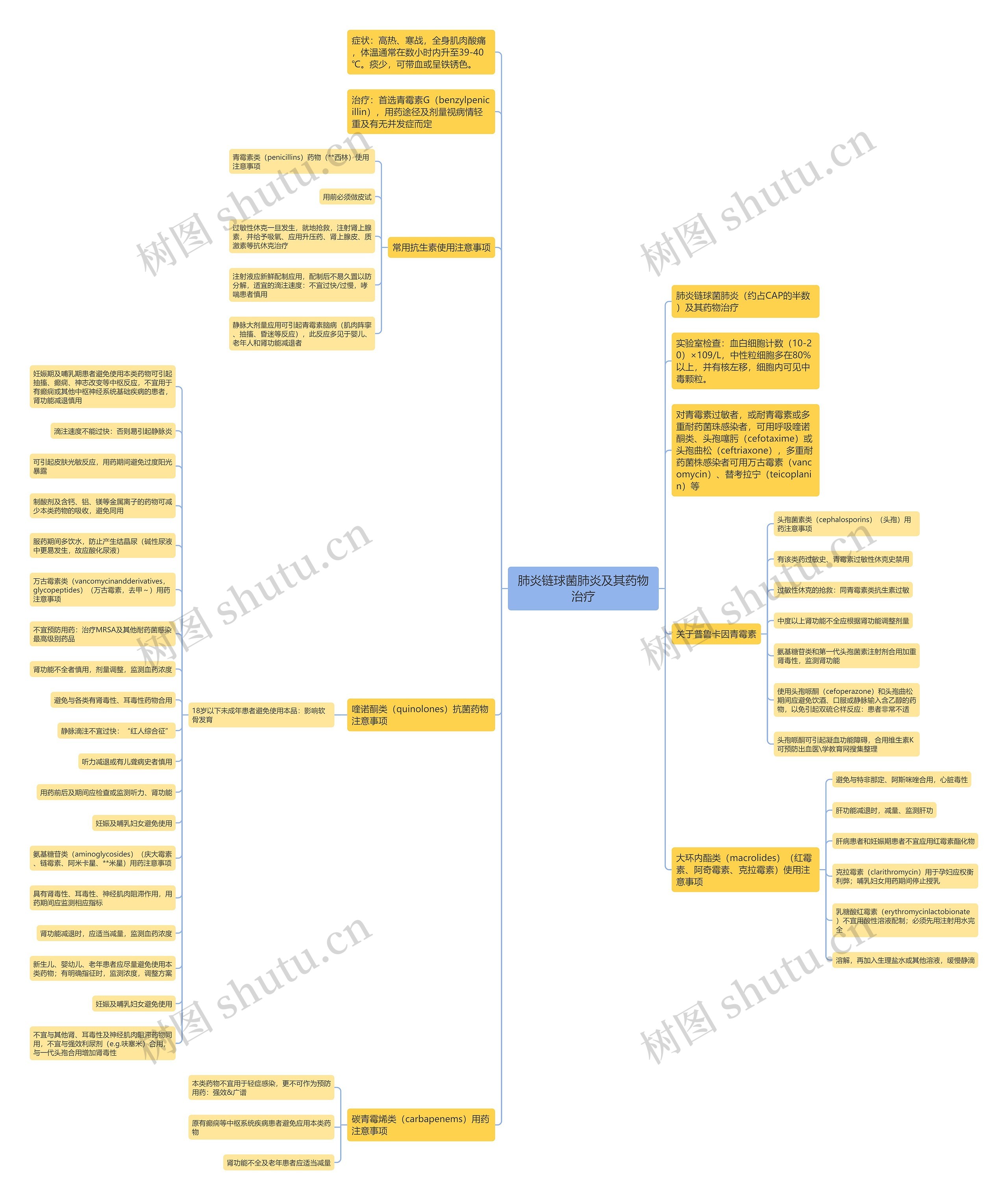 肺炎链球菌肺炎及其药物治疗思维导图