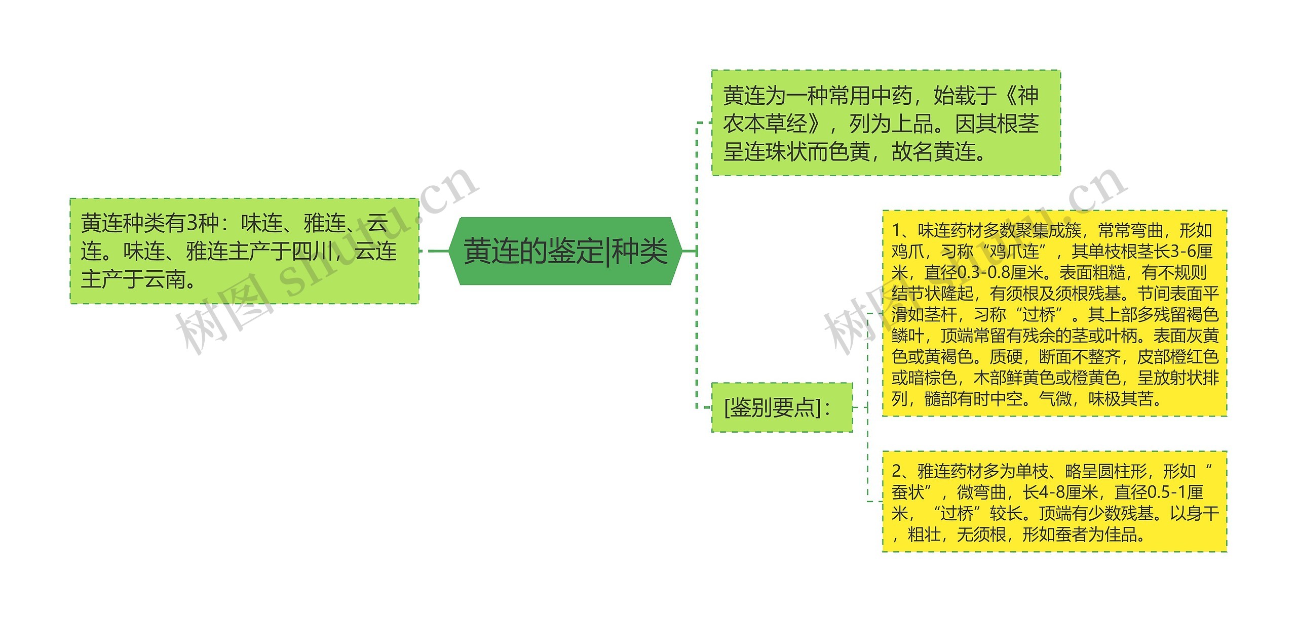 黄连的鉴定|种类 黄连的鉴定|种类