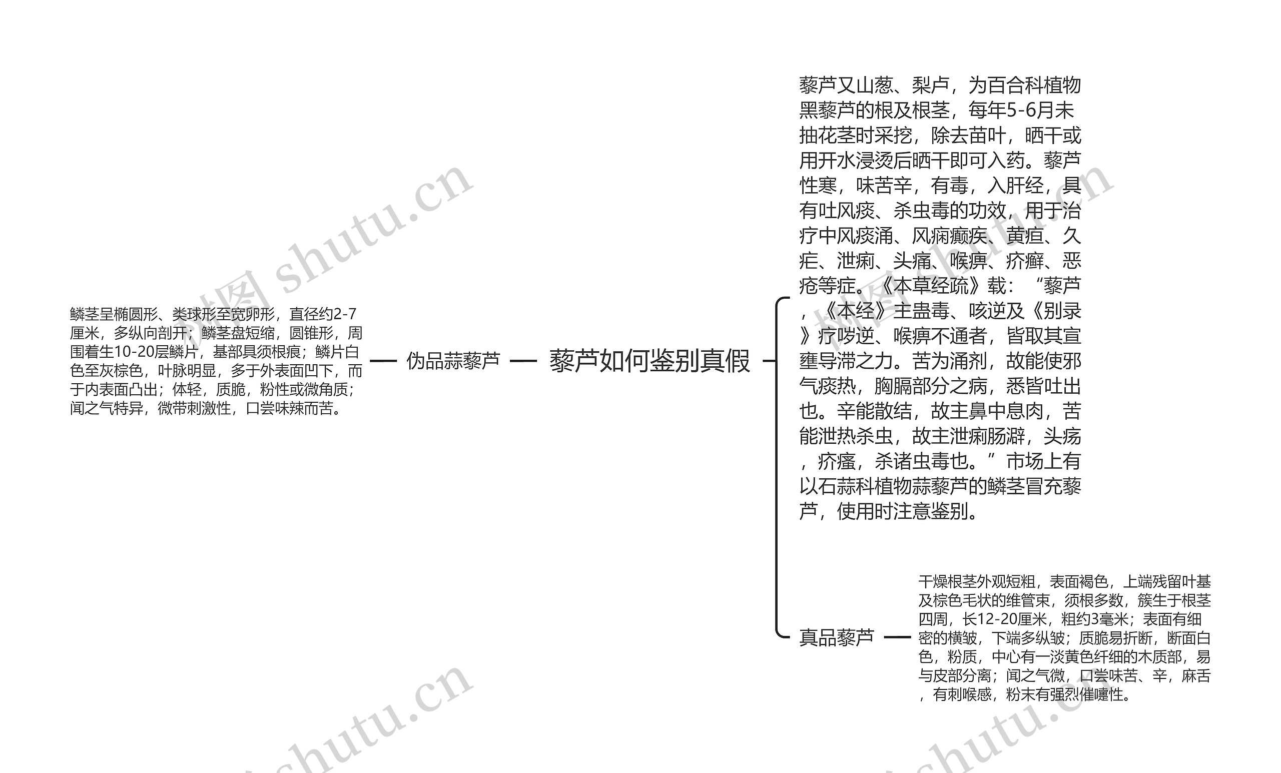 藜芦如何鉴别真假思维导图