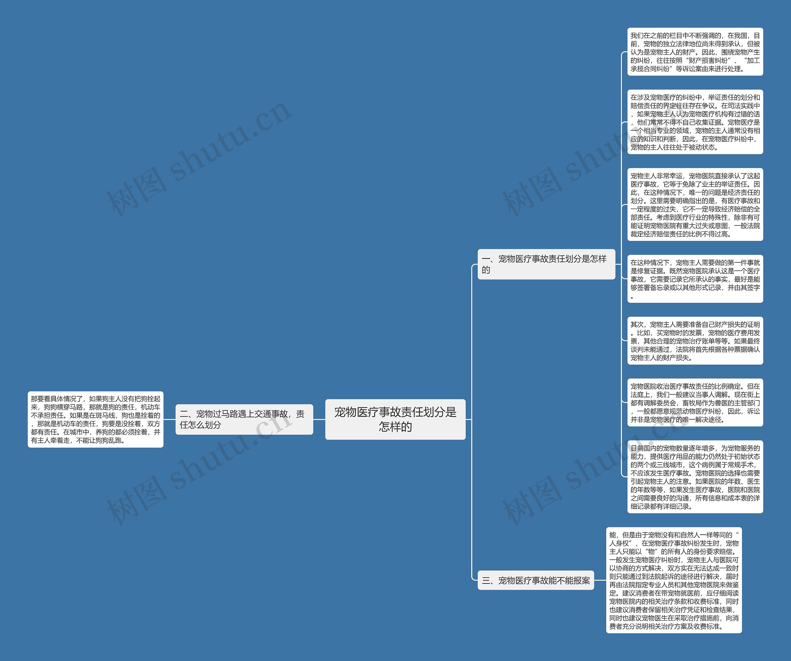 宠物医疗事故责任划分是怎样的思维导图