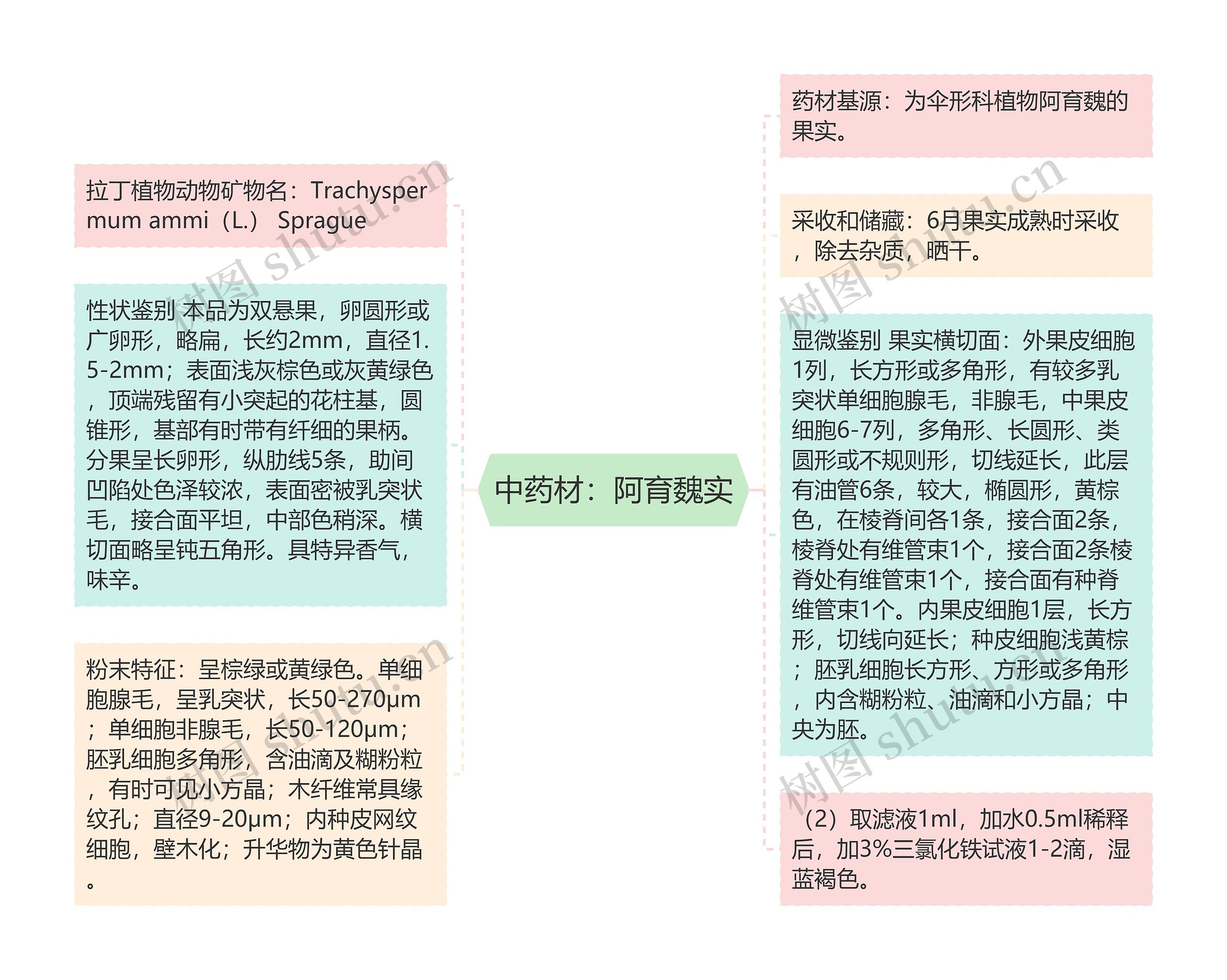 中药材：阿育魏实思维导图