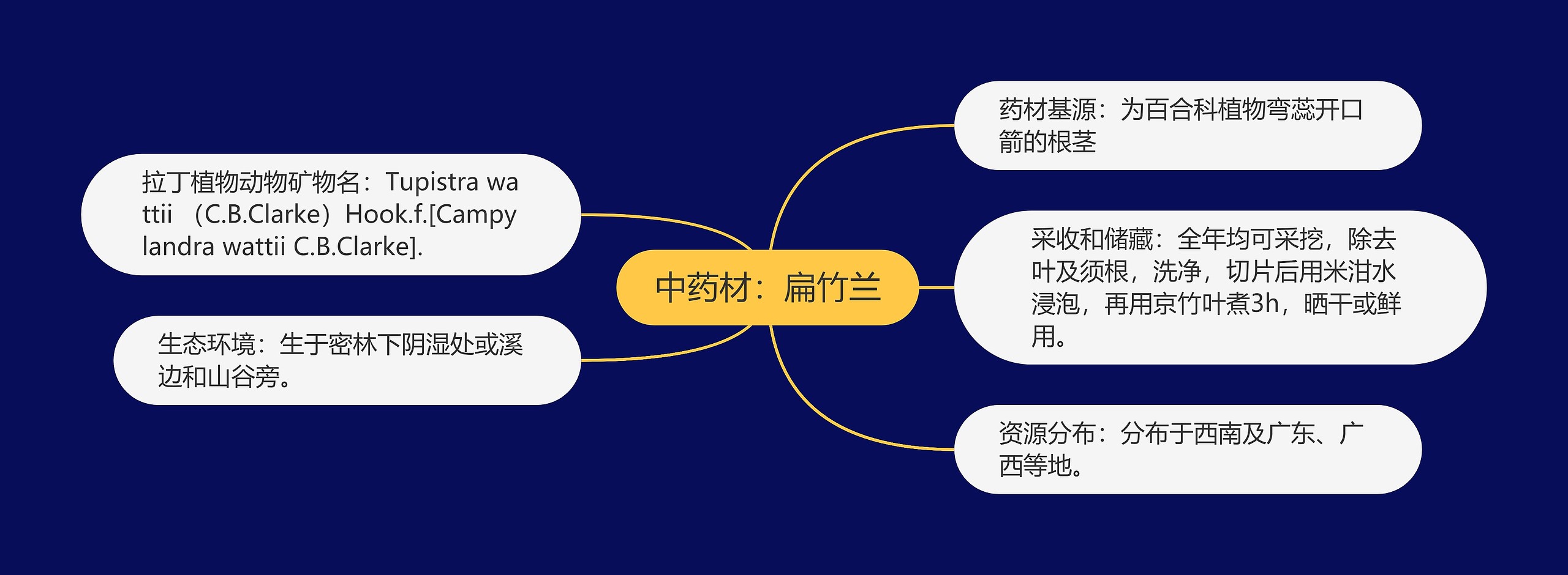 中药材：扁竹兰思维导图