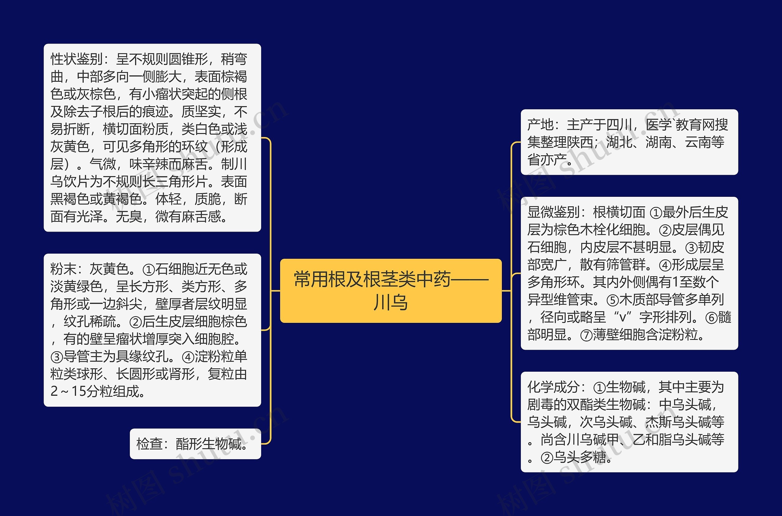 常用根及根茎类中药——川乌 常用根及根茎类中药——川乌