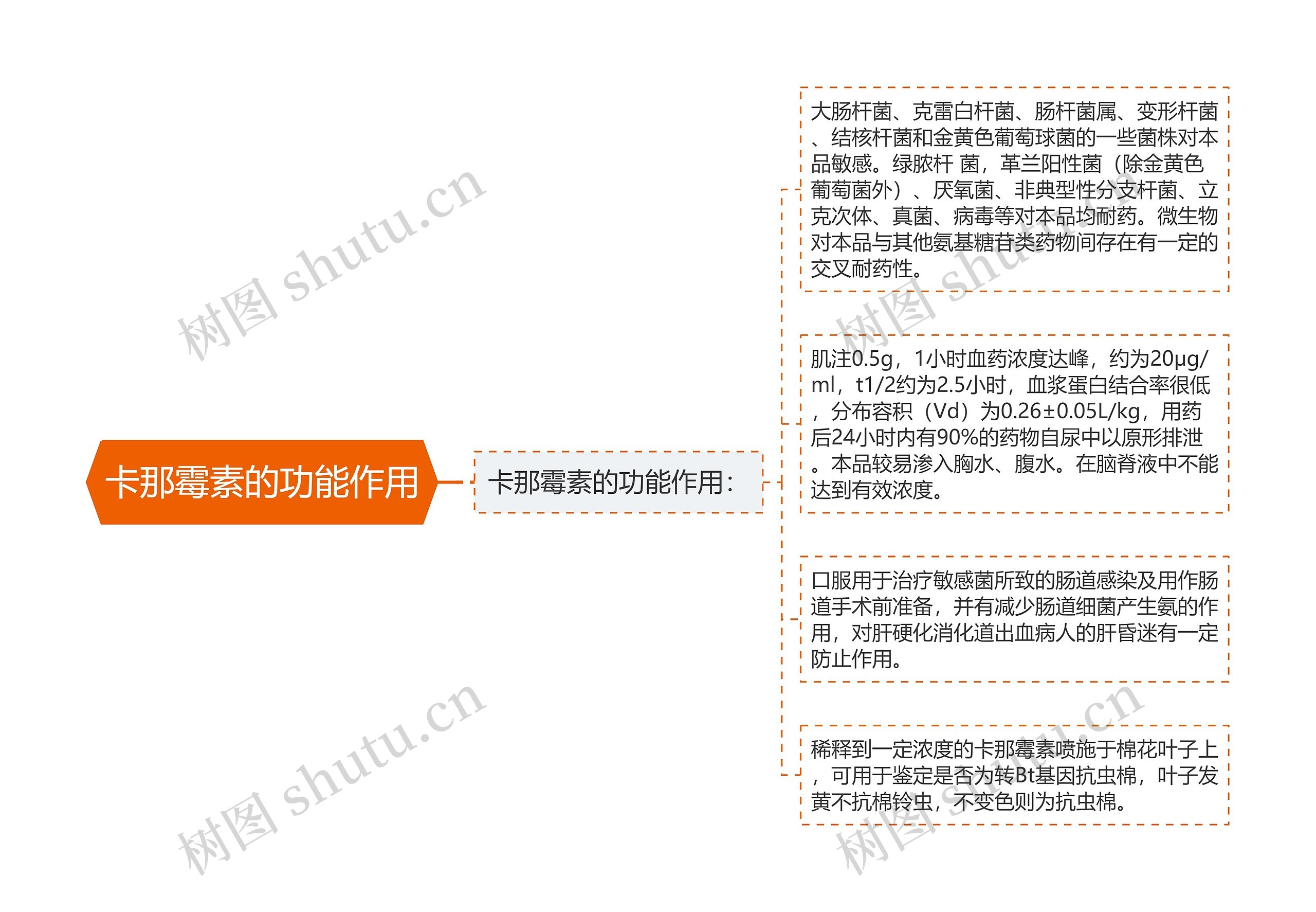 卡那霉素的功能作用