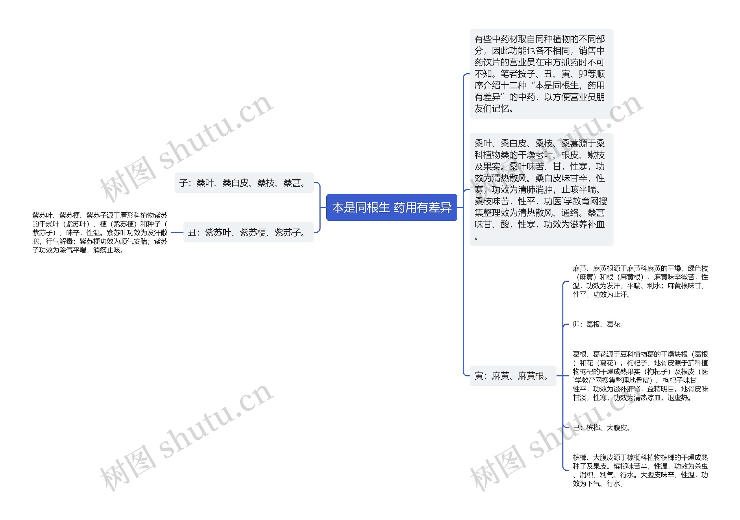 本是同根生 药用有差异思维导图