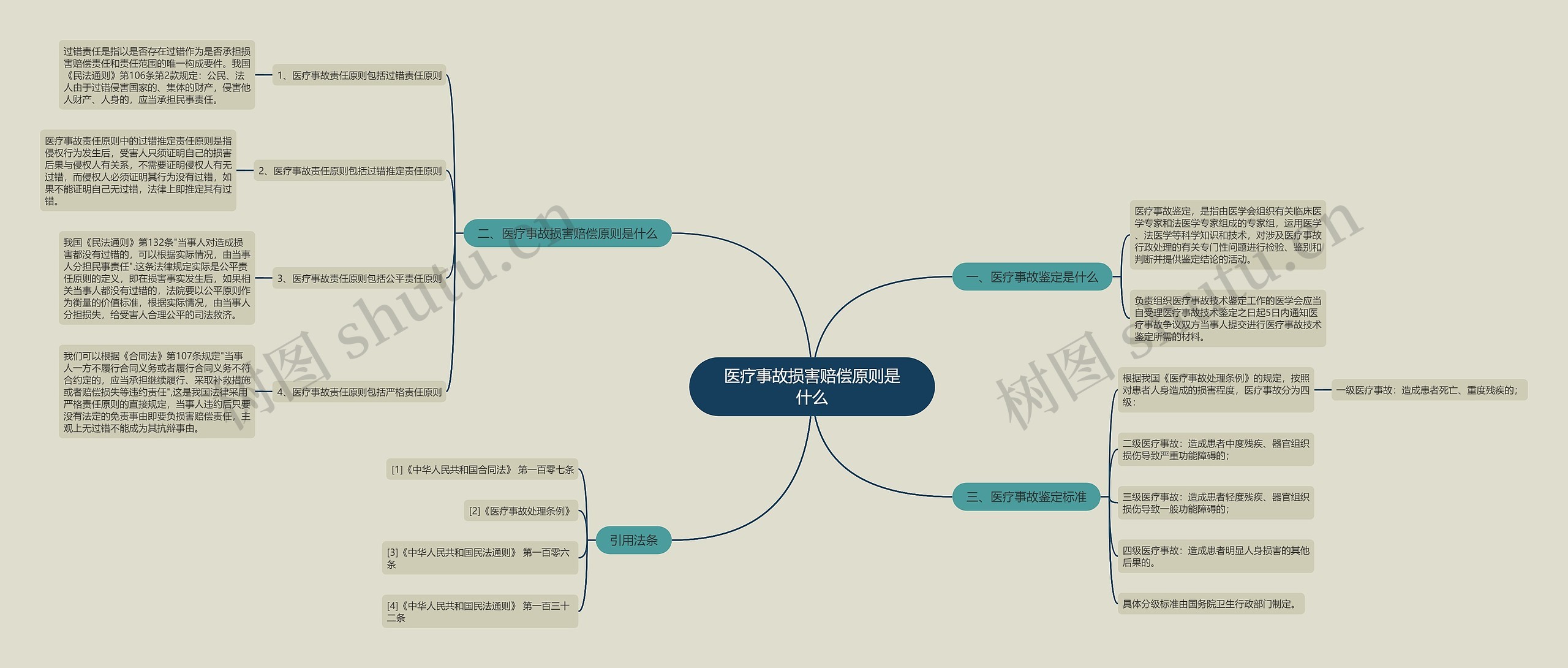医疗事故损害赔偿原则是什么思维导图