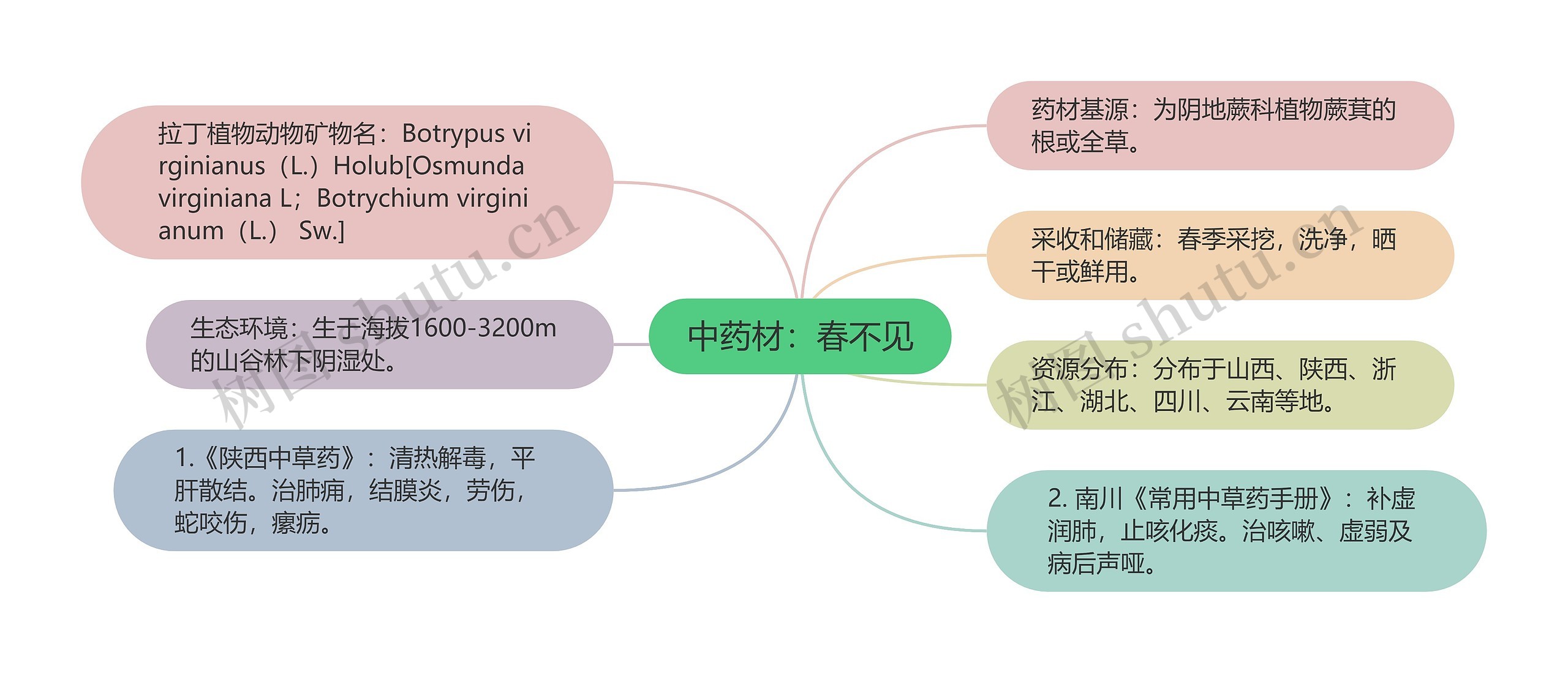 中药材：春不见思维导图