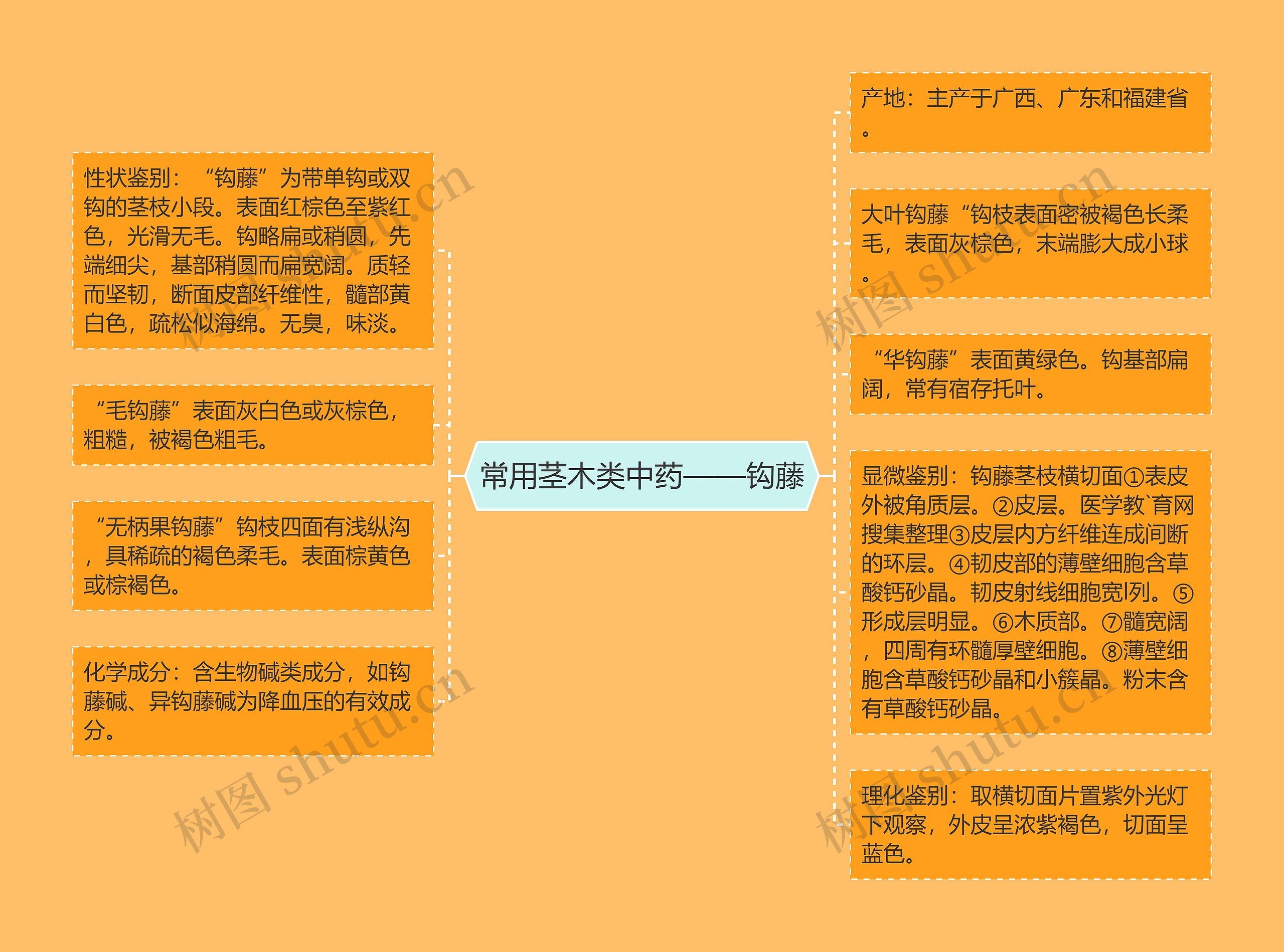 常用茎木类中药——钩藤思维导图