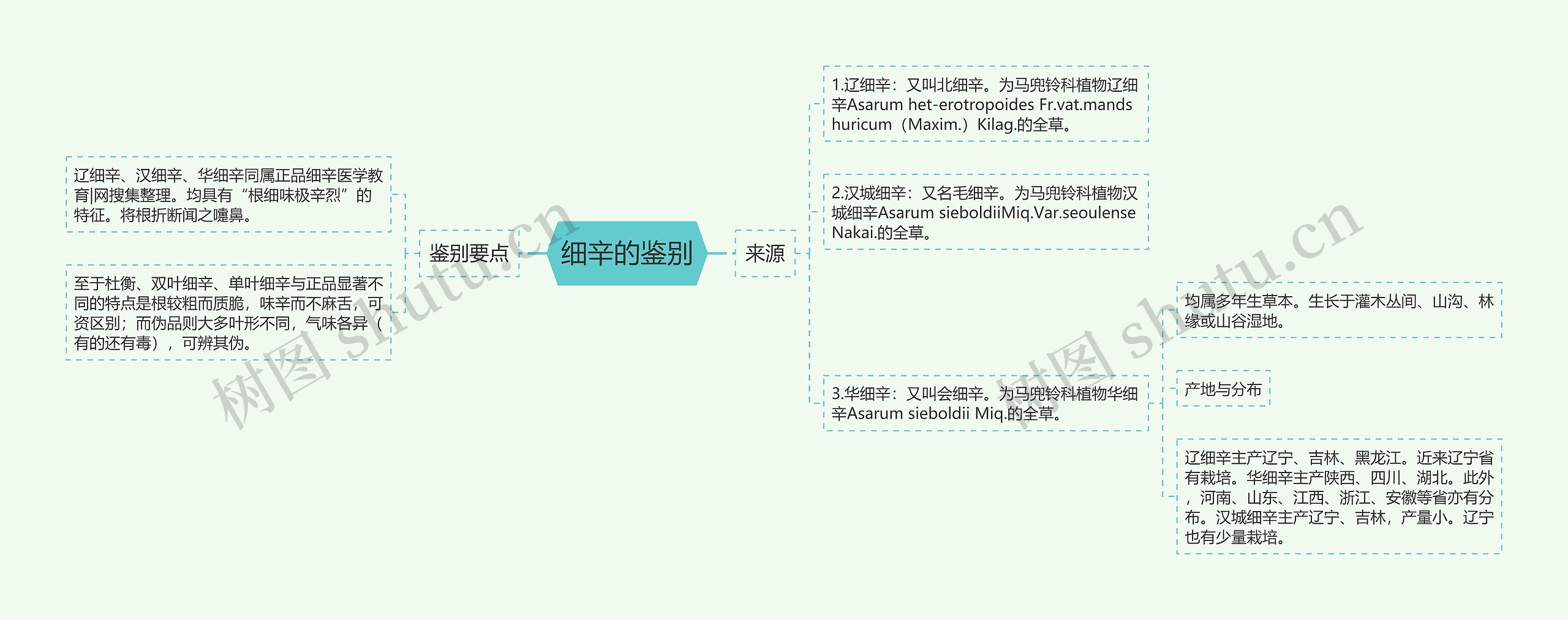 细辛的鉴别