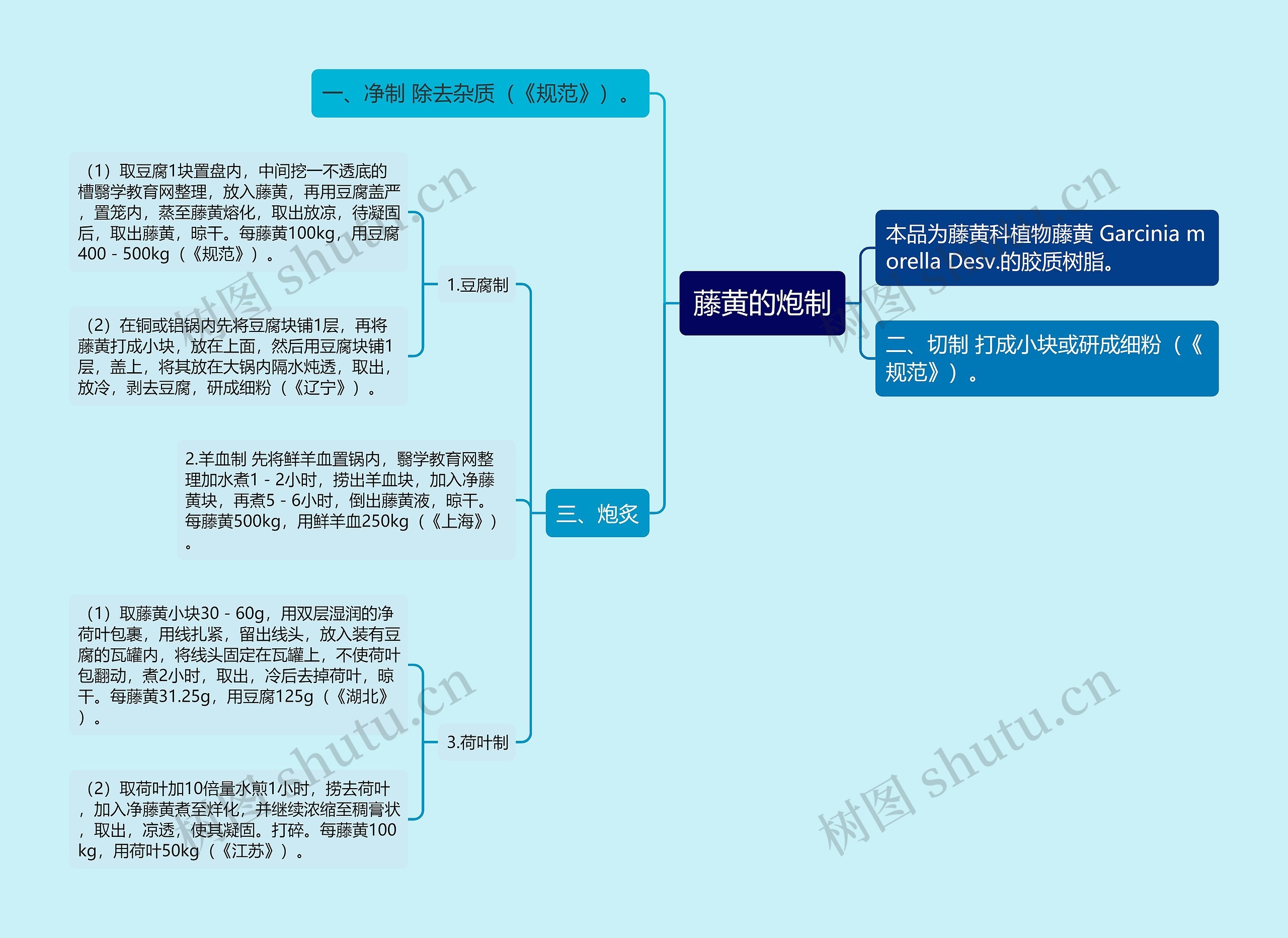 藤黄的炮制思维导图