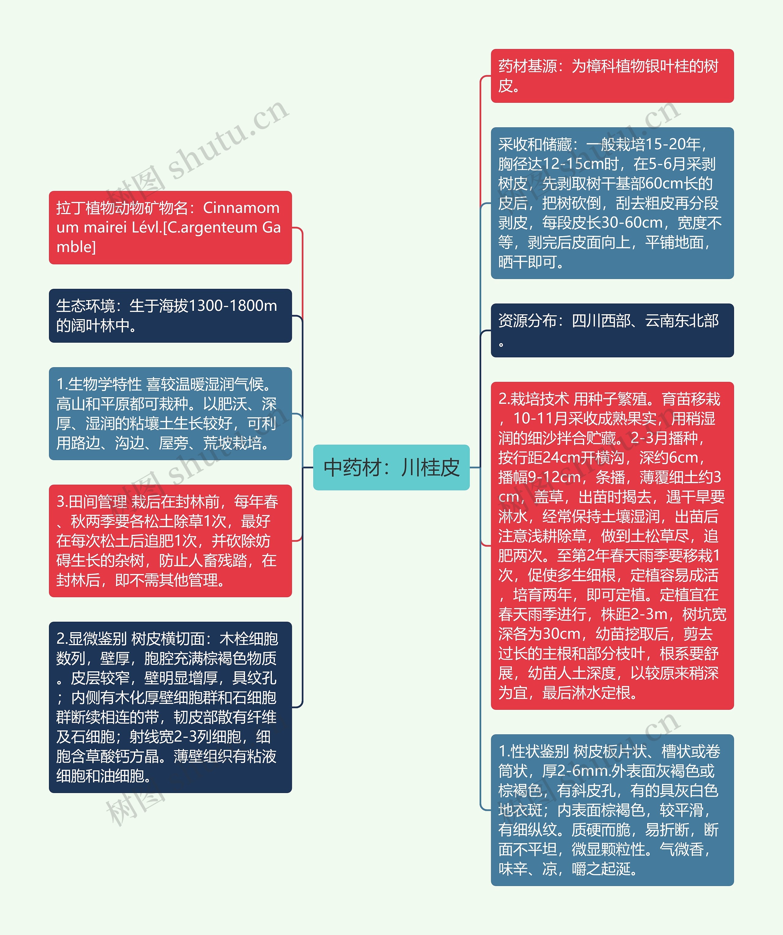 中药材：川桂皮思维导图