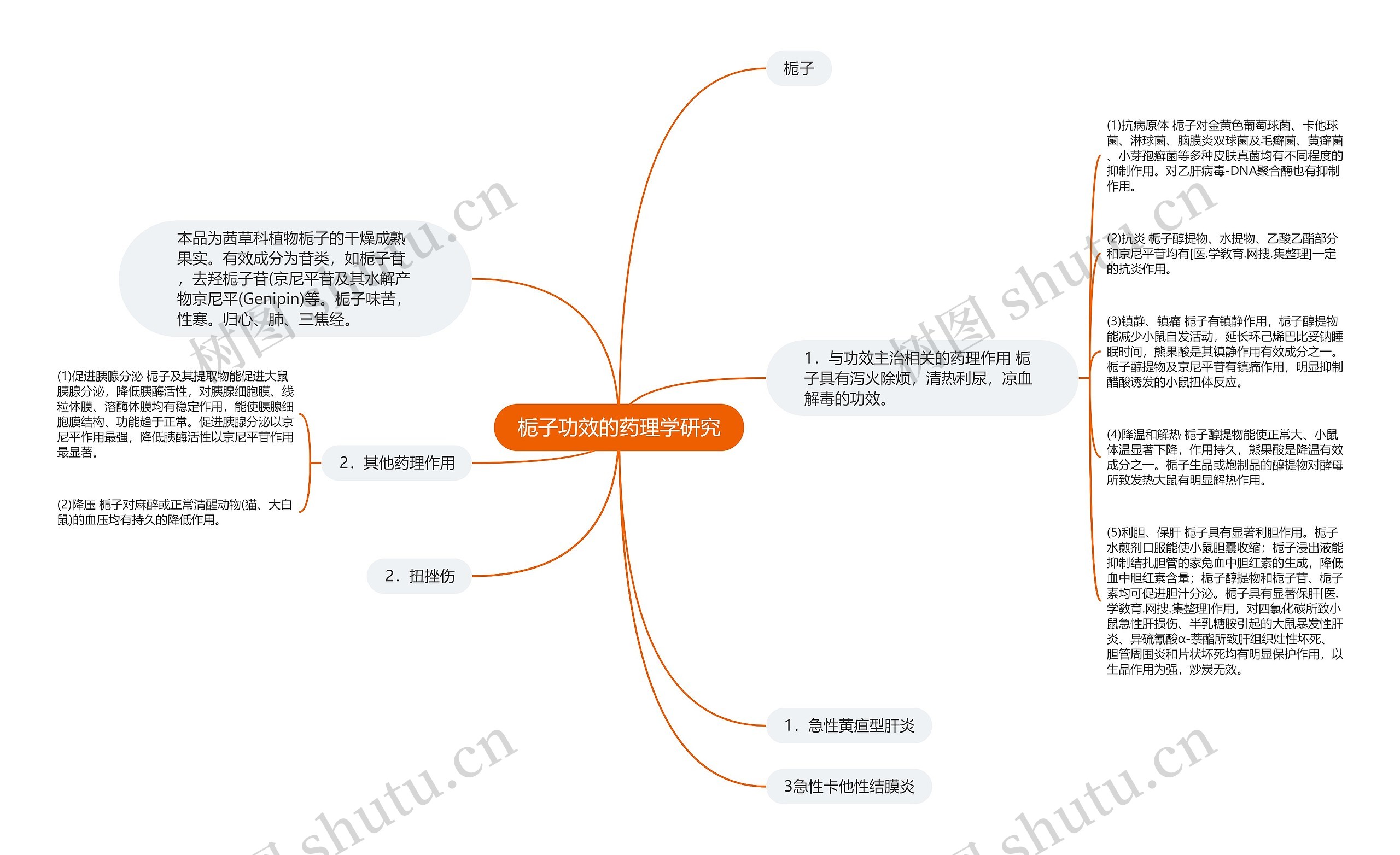 栀子功效的药理学研究 栀子功效的药理学研究
