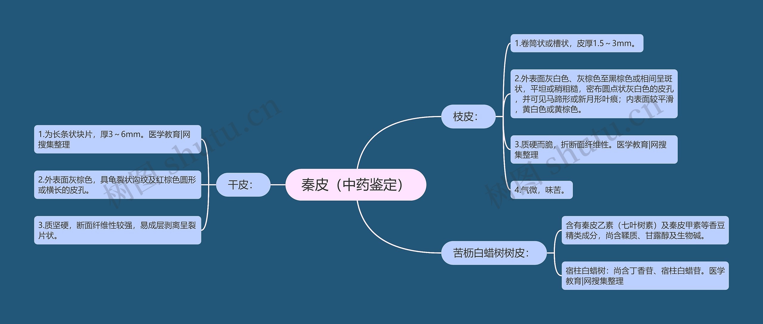 秦皮（中药鉴定）思维导图