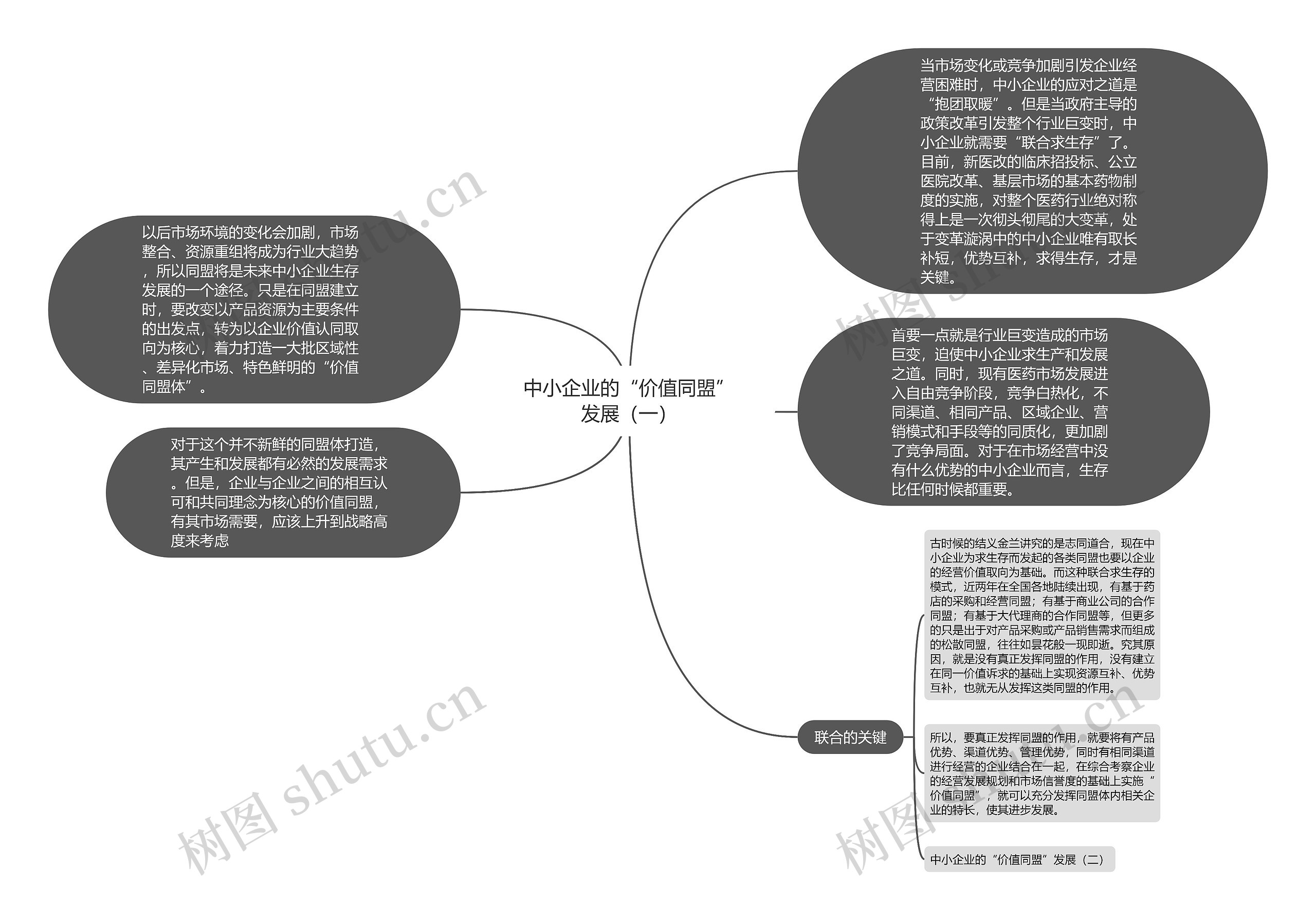 中小企业的“价值同盟”发展（一）思维导图