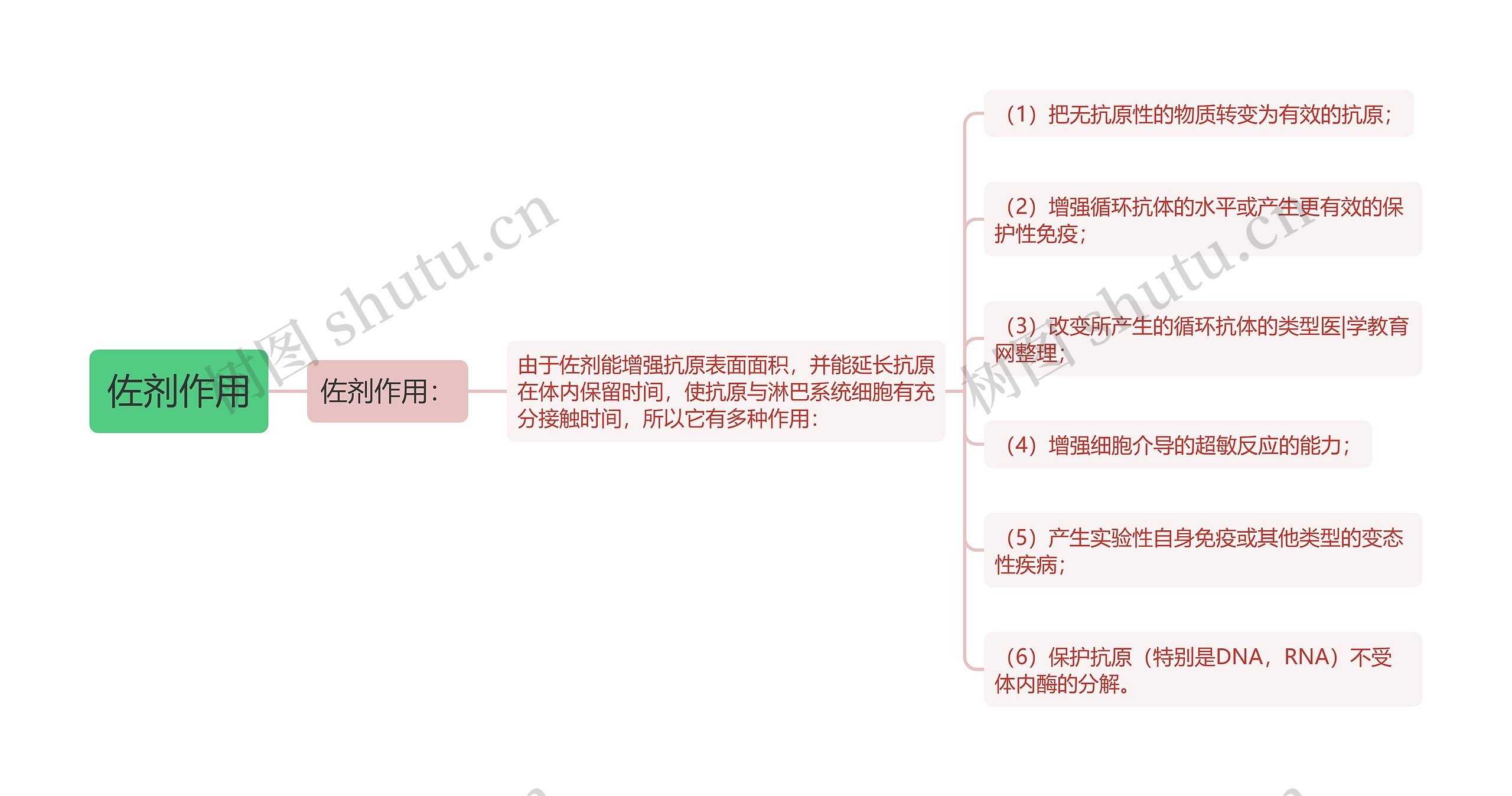 佐剂作用思维导图