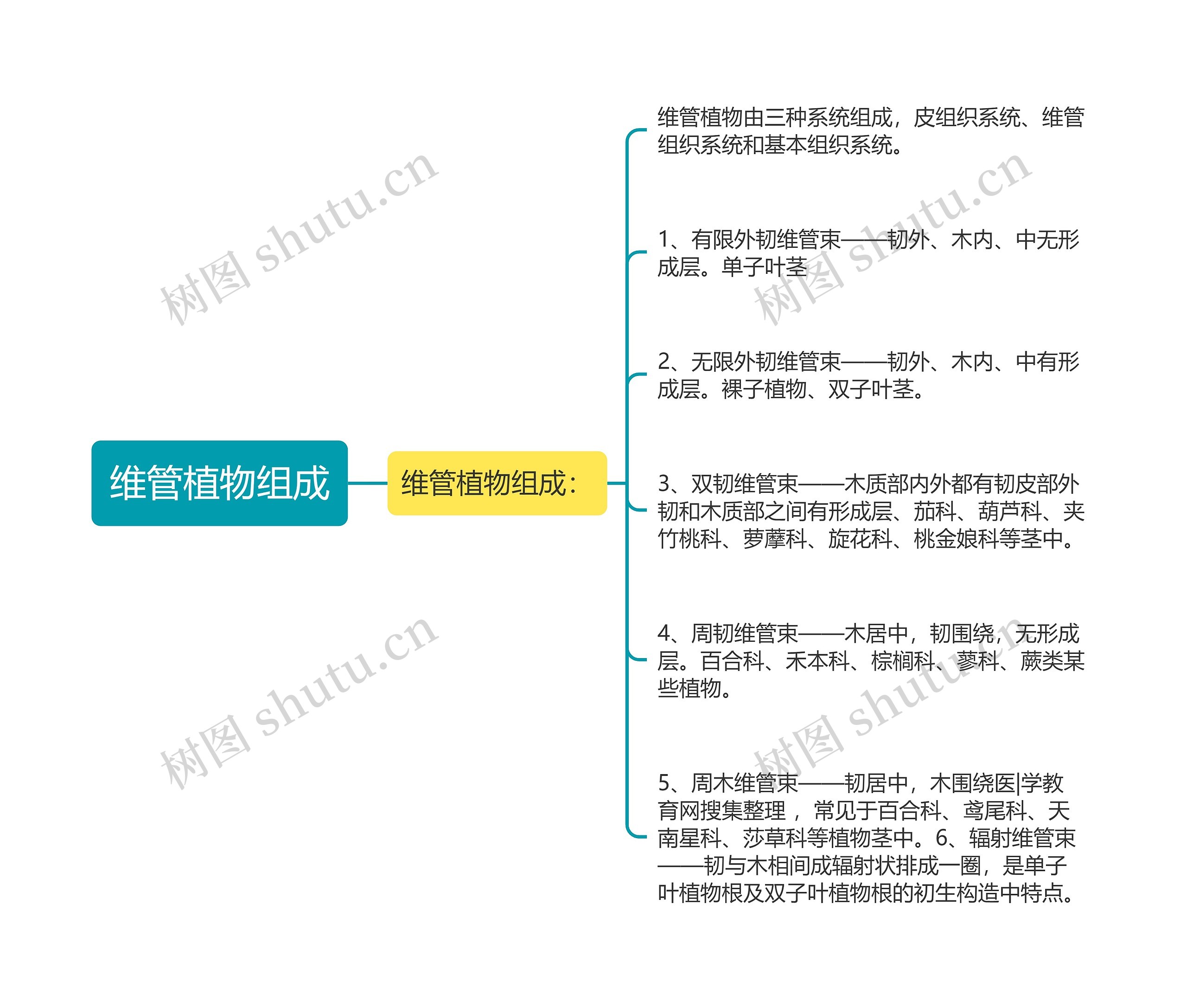 维管植物组成