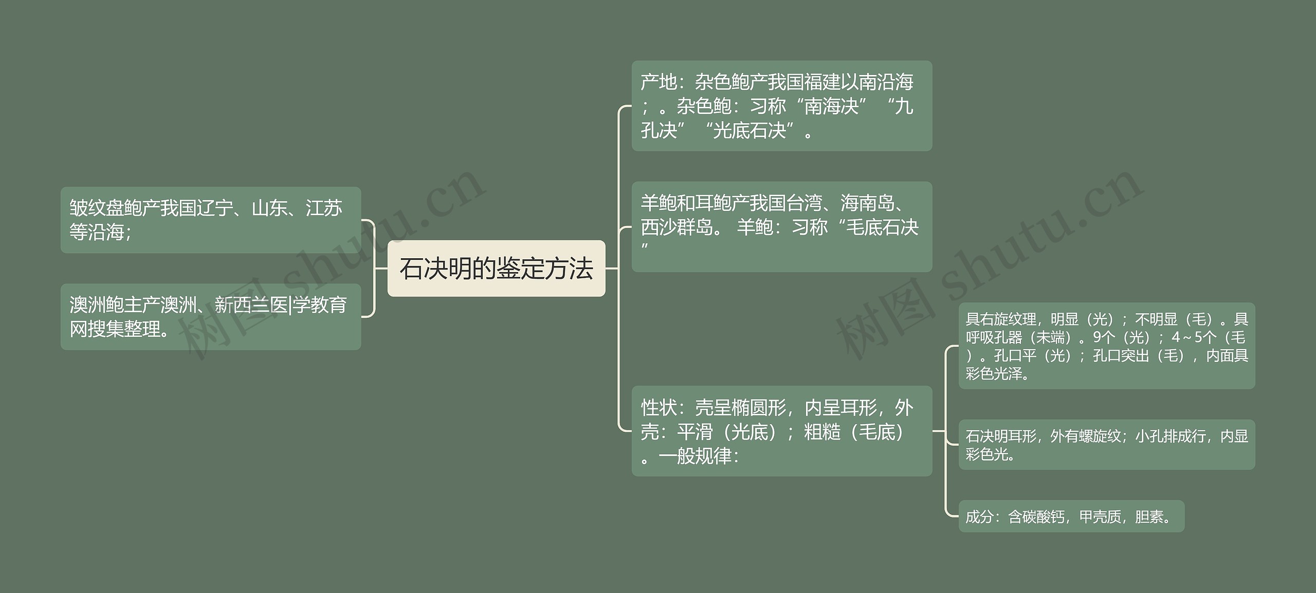 石决明的鉴定方法思维导图