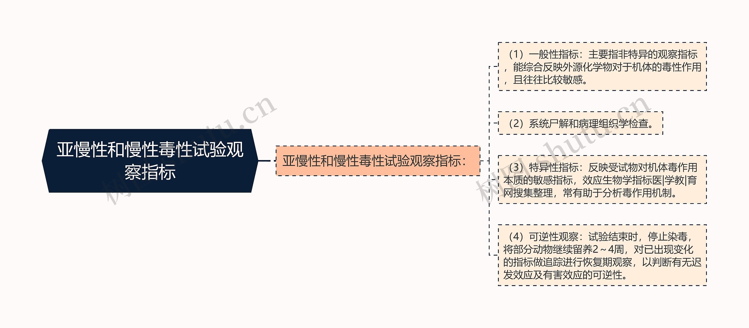 亚慢性和慢性毒性试验观察指标思维导图