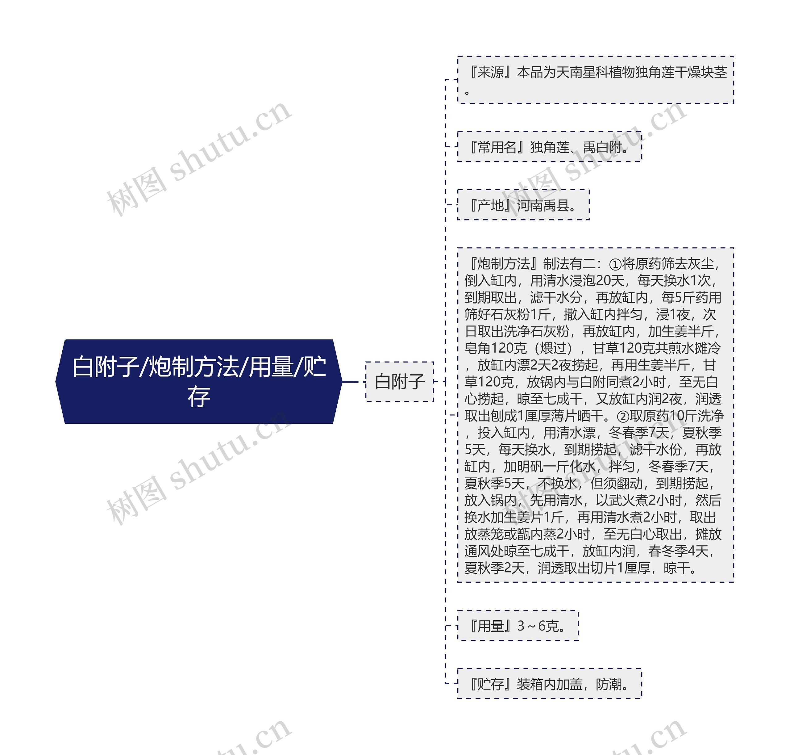 白附子/炮制方法/用量/贮存思维导图