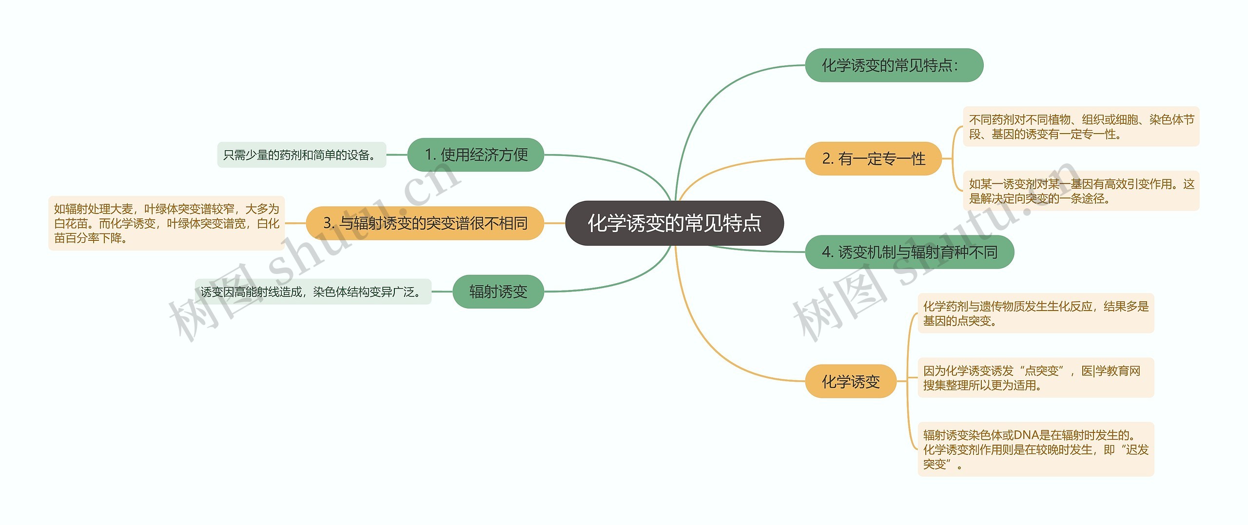 化学诱变的常见特点思维导图