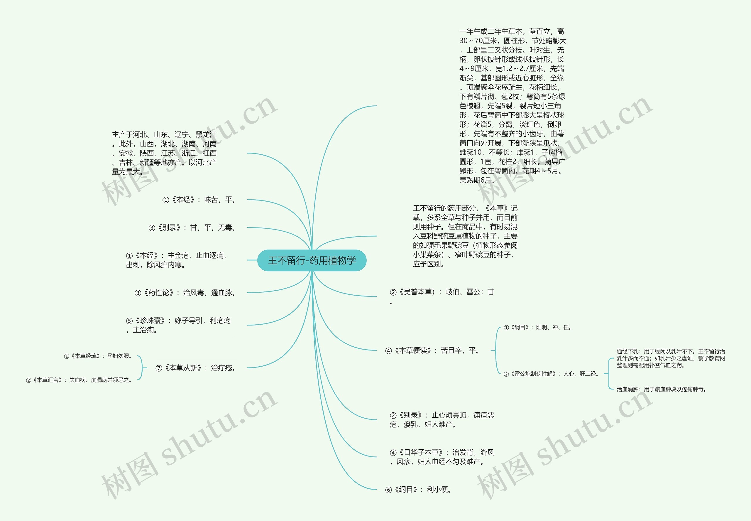 王不留行-药用植物学思维导图