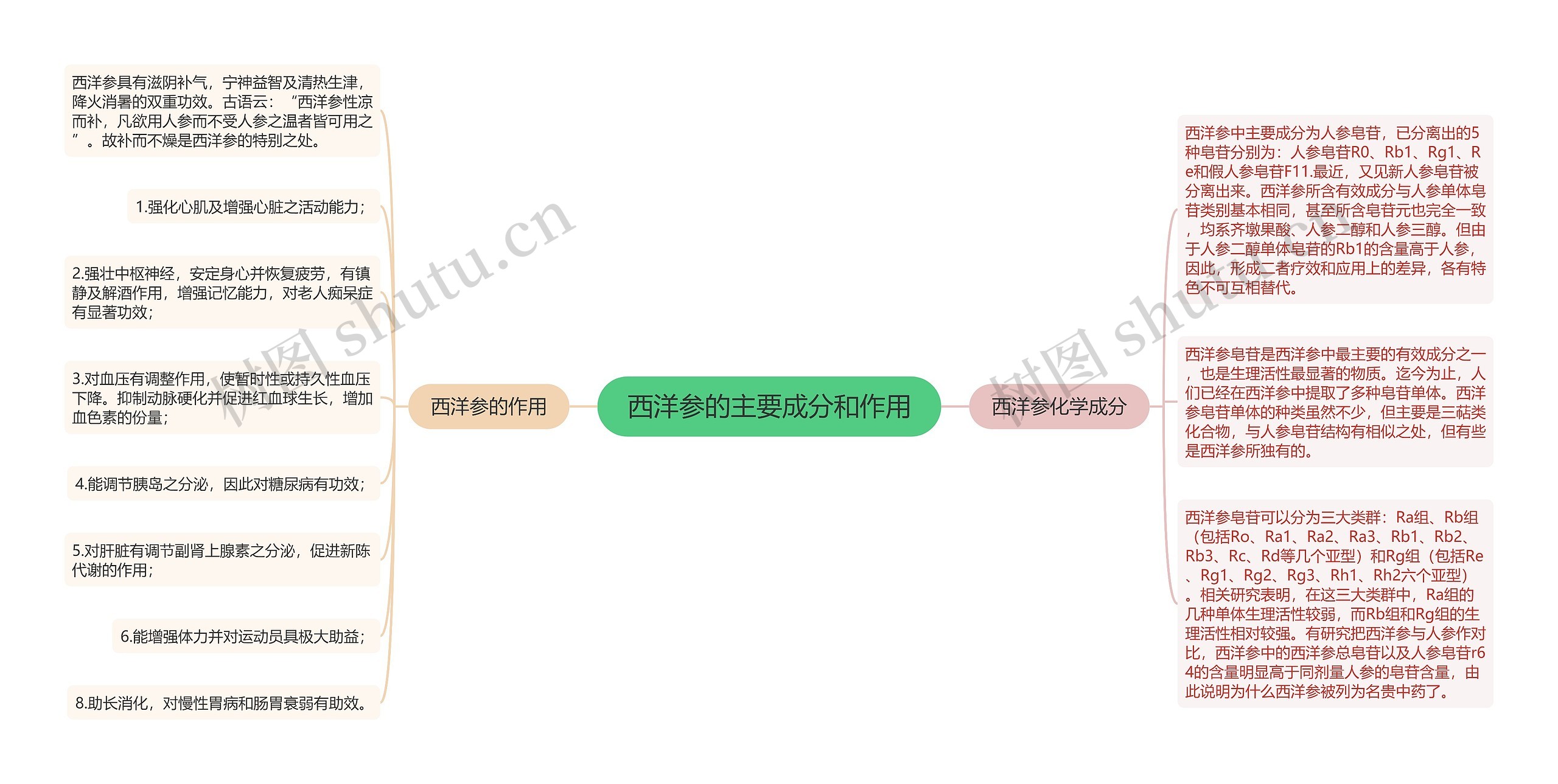 西洋参的主要成分和作用思维导图