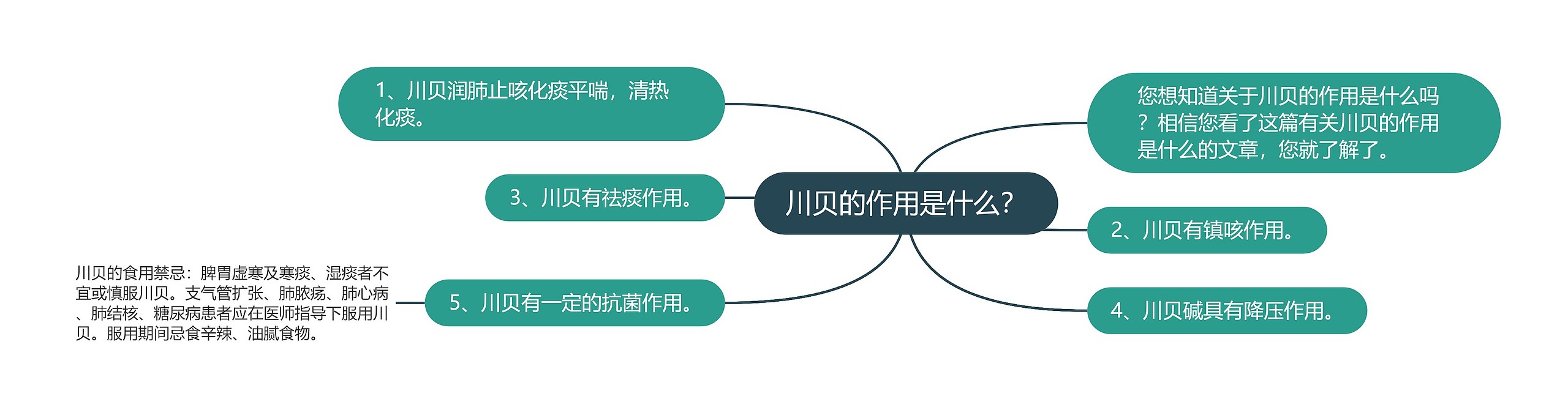 川贝的作用是什么? 川贝的作用是什么?