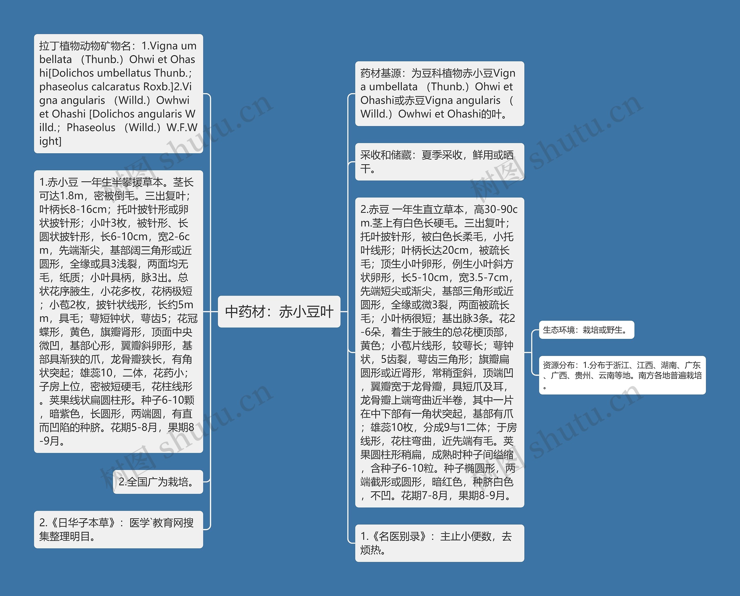 中药材：赤小豆叶思维导图