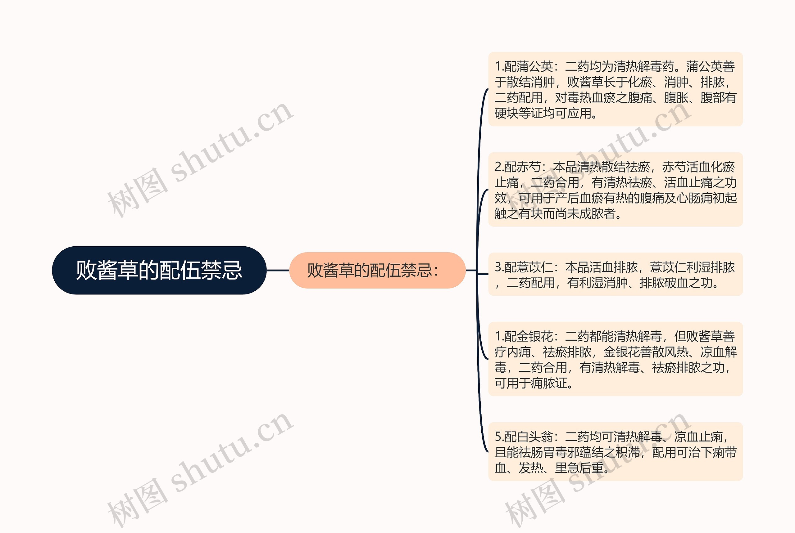 败酱草的配伍禁忌思维导图