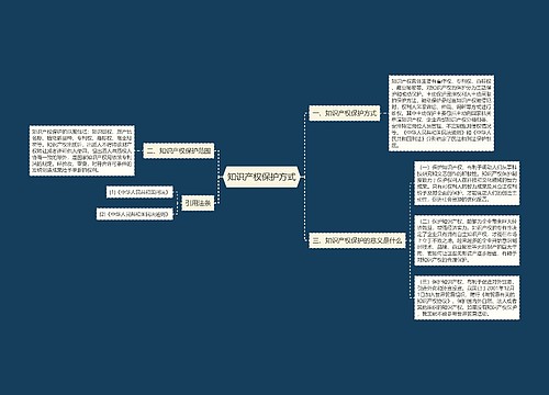 知识产权保护方式