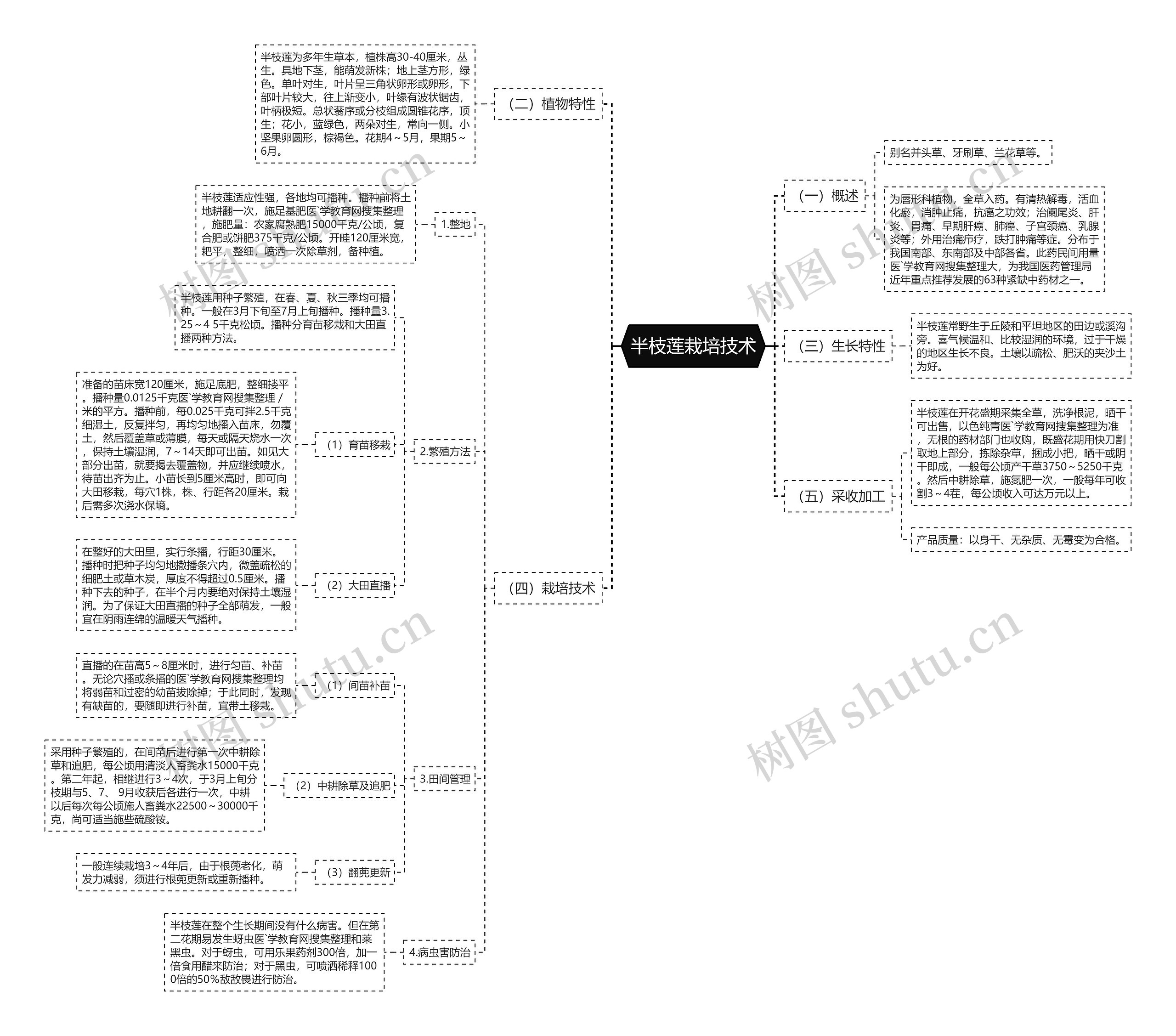 半枝莲栽培技术思维导图