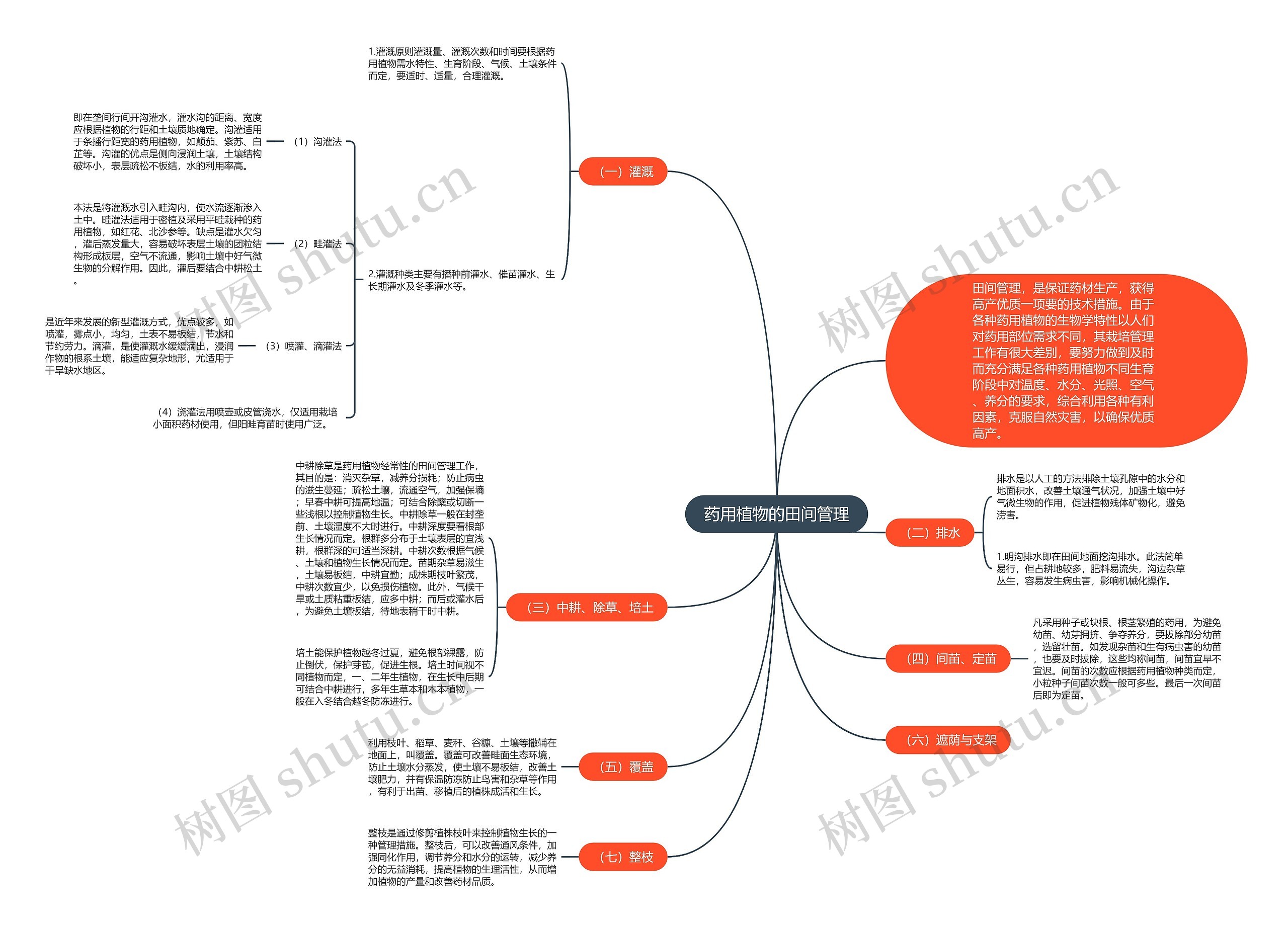 药用植物的田间管理思维导图