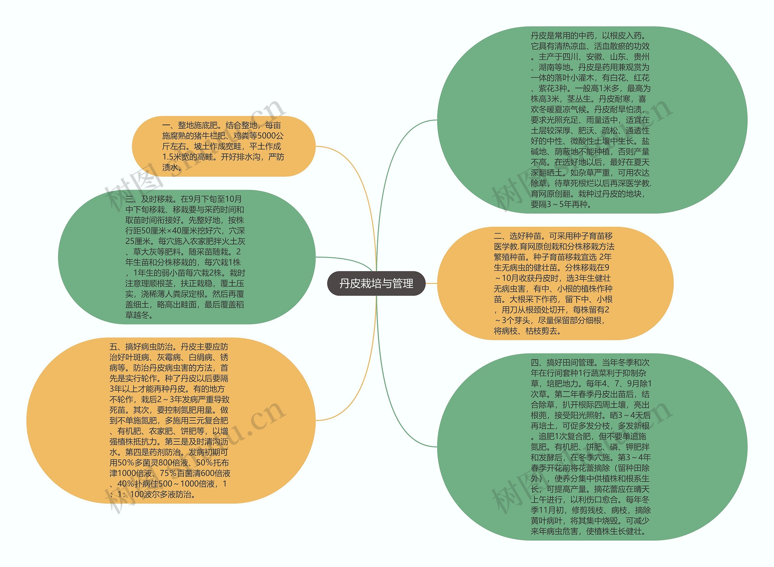 丹皮栽培与管理思维导图