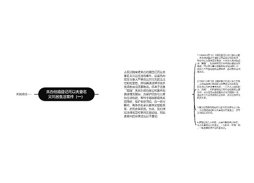 未办结婚登记而以夫妻名义同居生活案件（一）