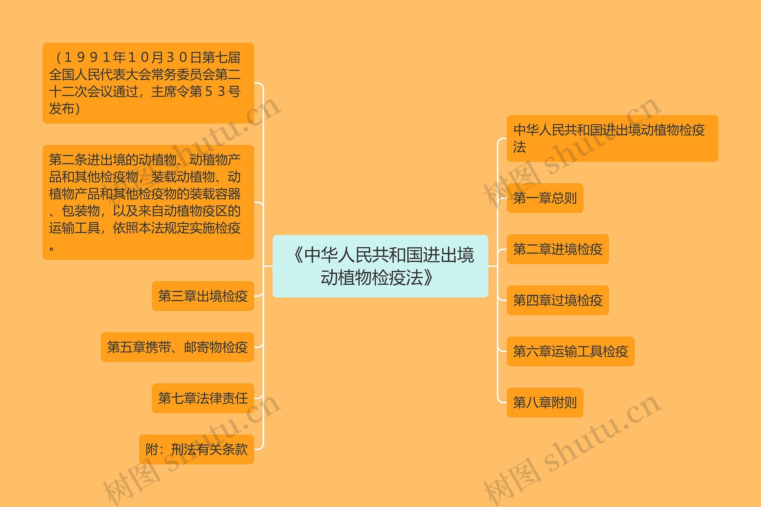 《中华人民共和国进出境动植物检疫法》思维导图