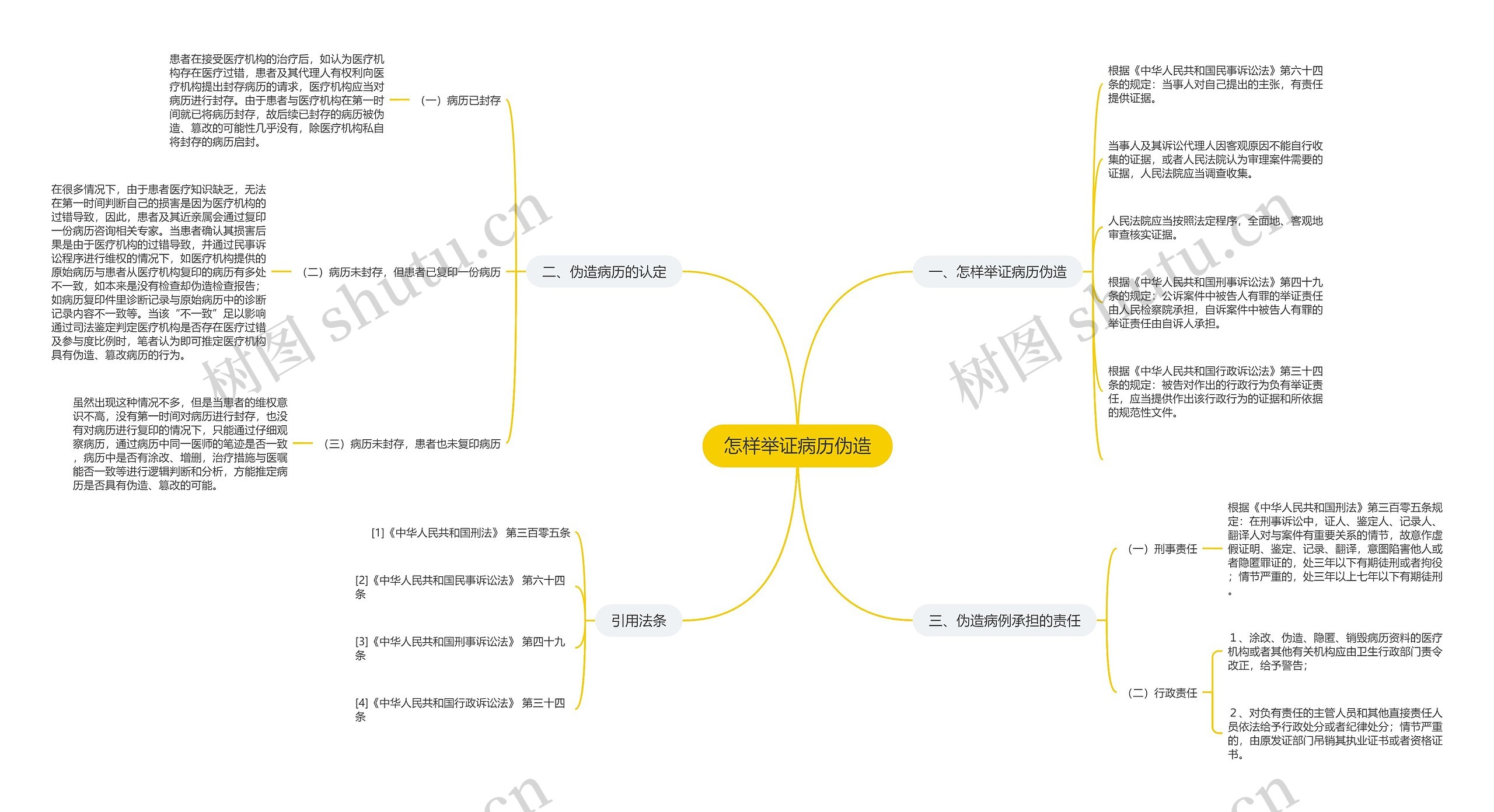 怎样举证病历伪造思维导图