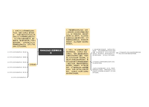 特殊收养成立需要哪些条件