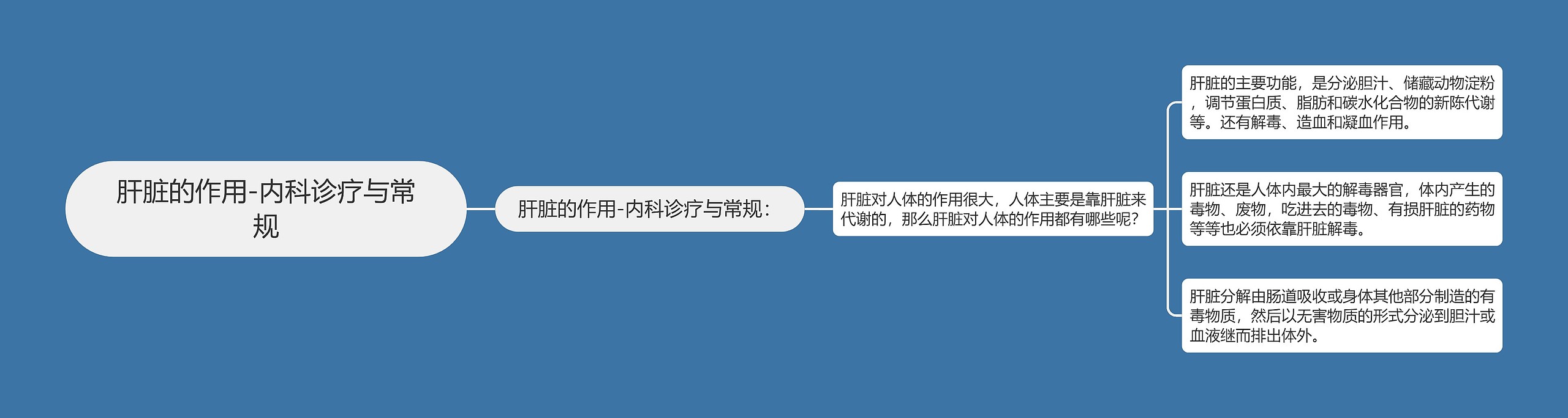 肝脏的作用-内科诊疗与常规 肝脏的作用-内科诊疗与常规